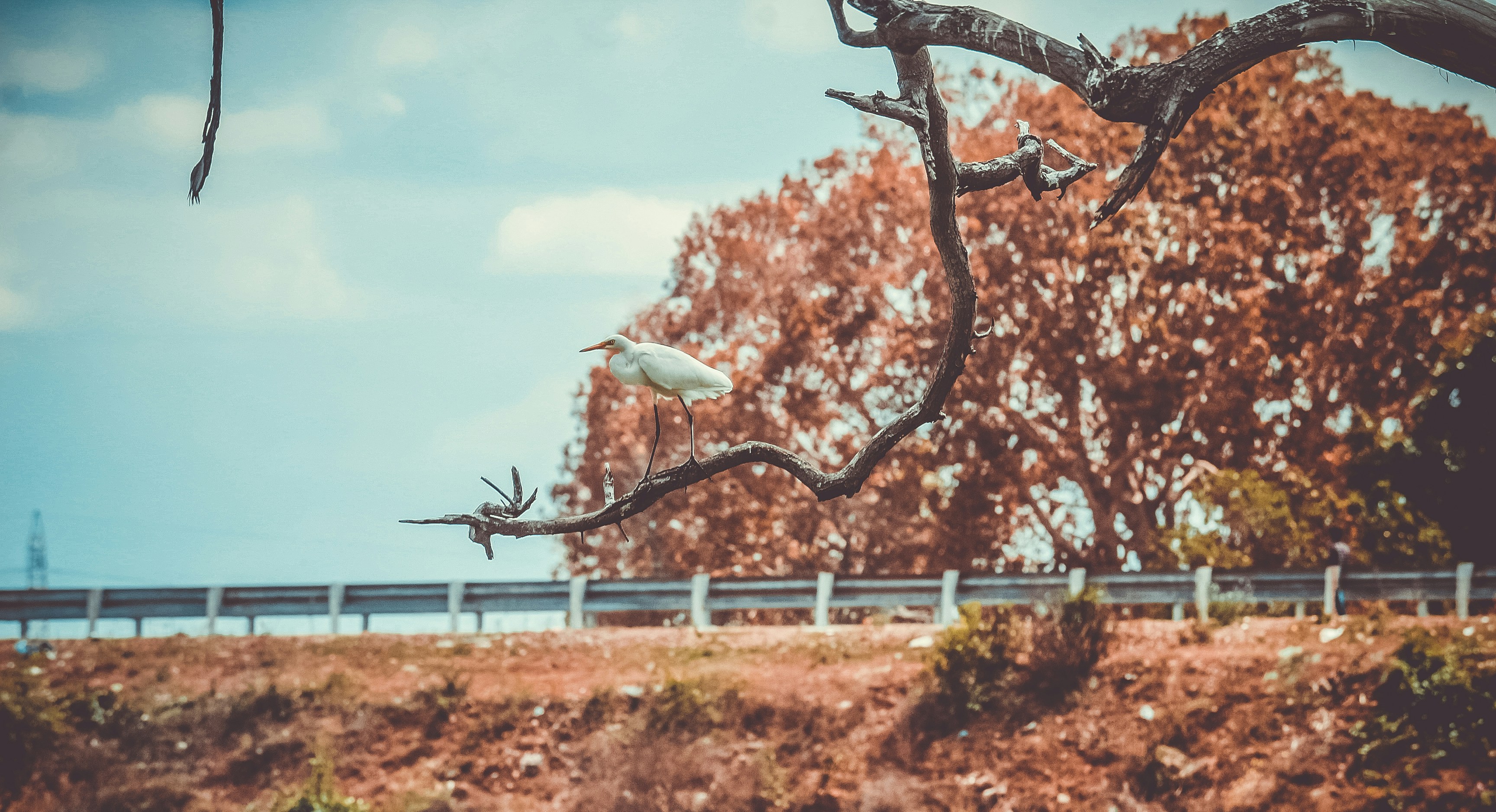 Free Unsplash photo from albaz alba