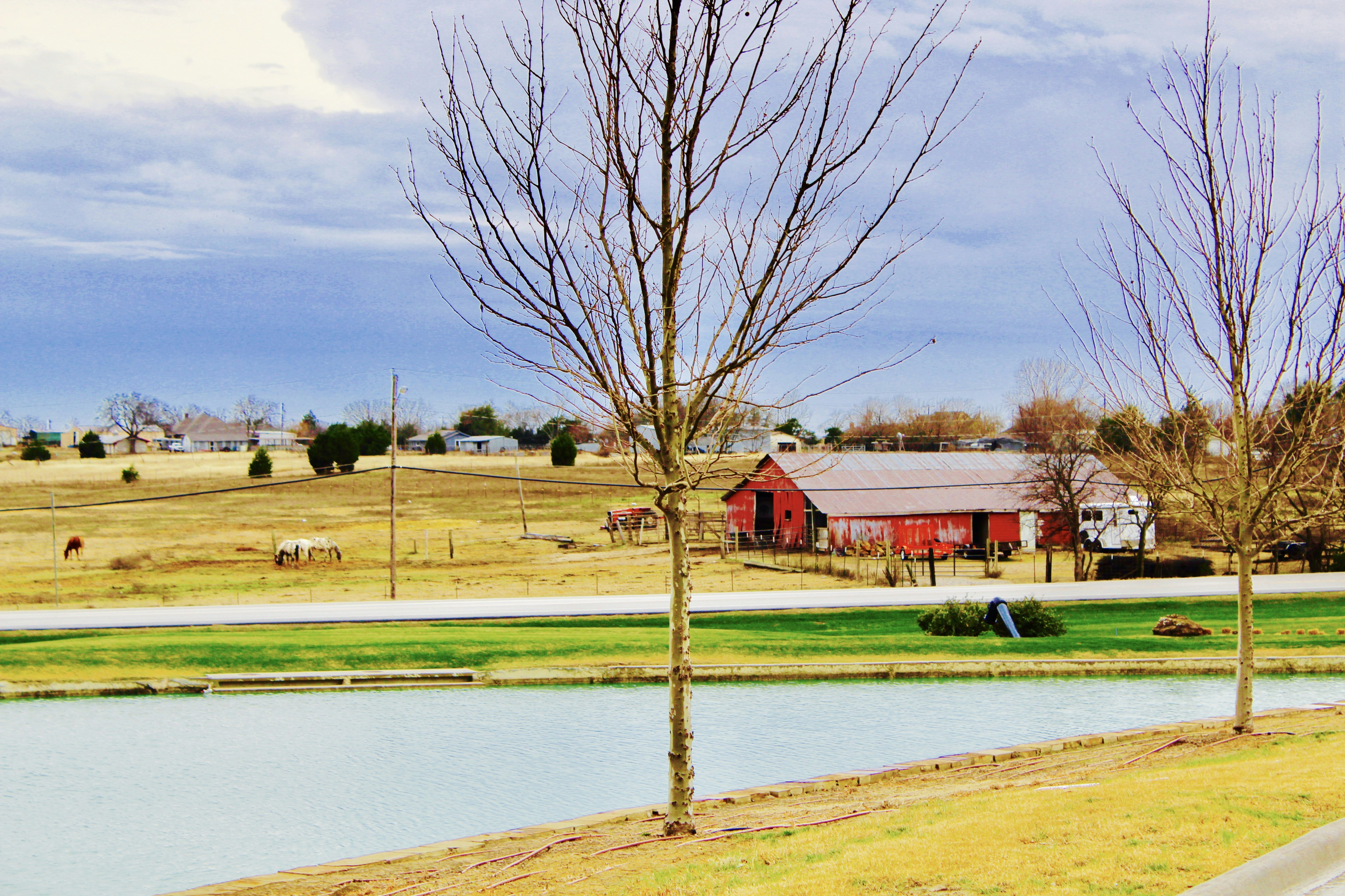 Free Unsplash photo from Rebekah Howell