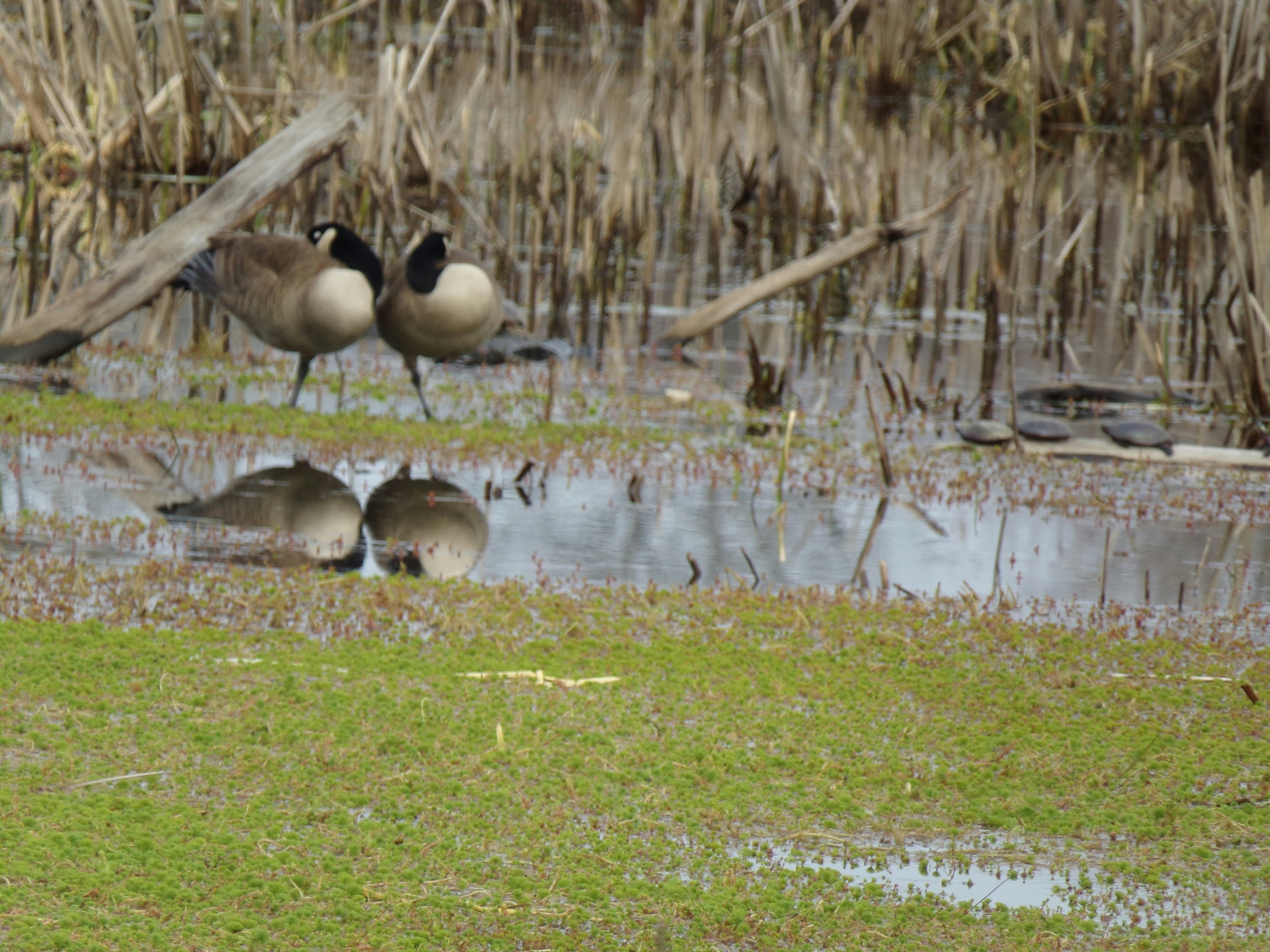 Free Unsplash photo from Susanna Mitchell