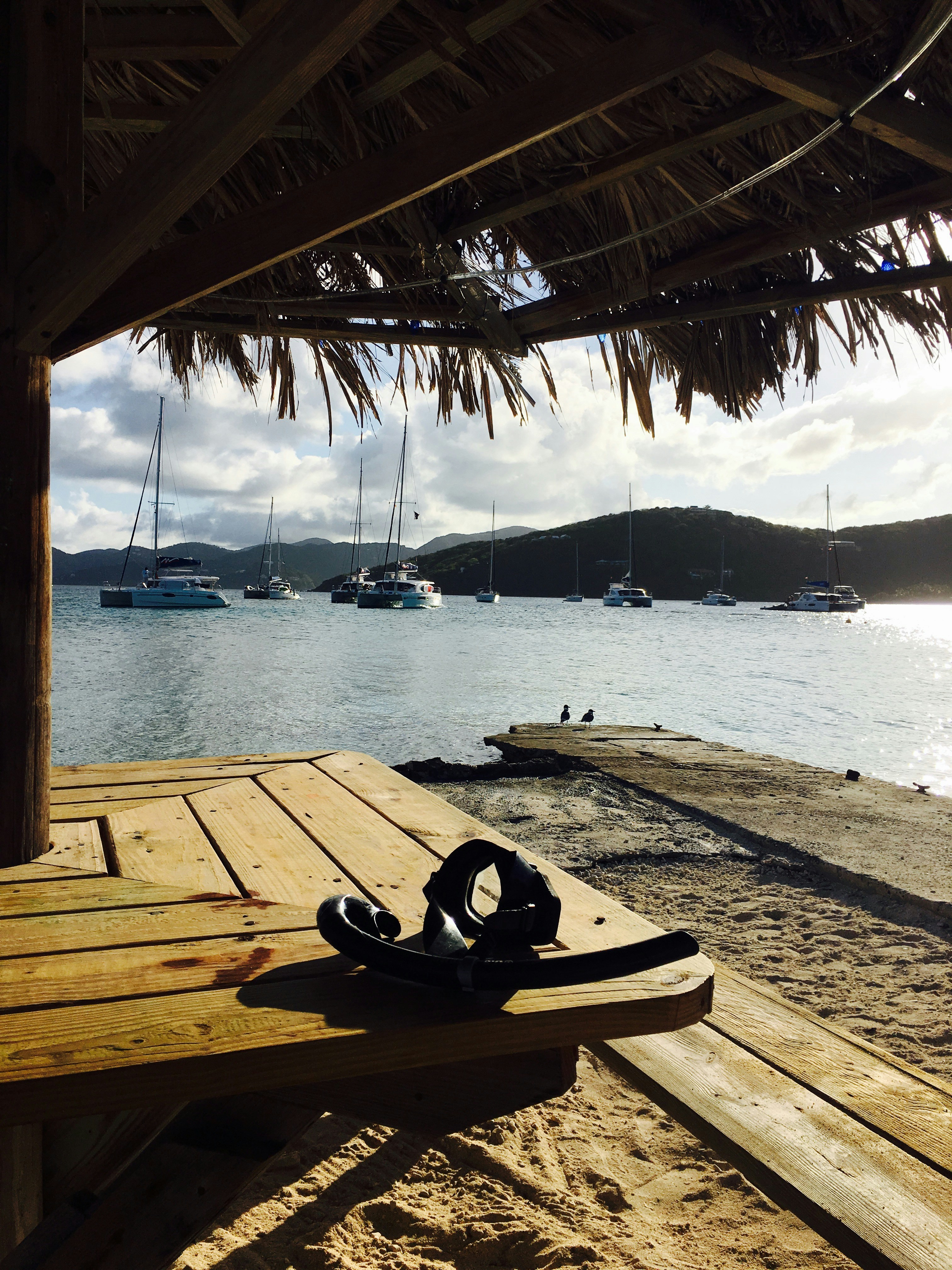 Free Unsplash photo from Marilyn Crawford