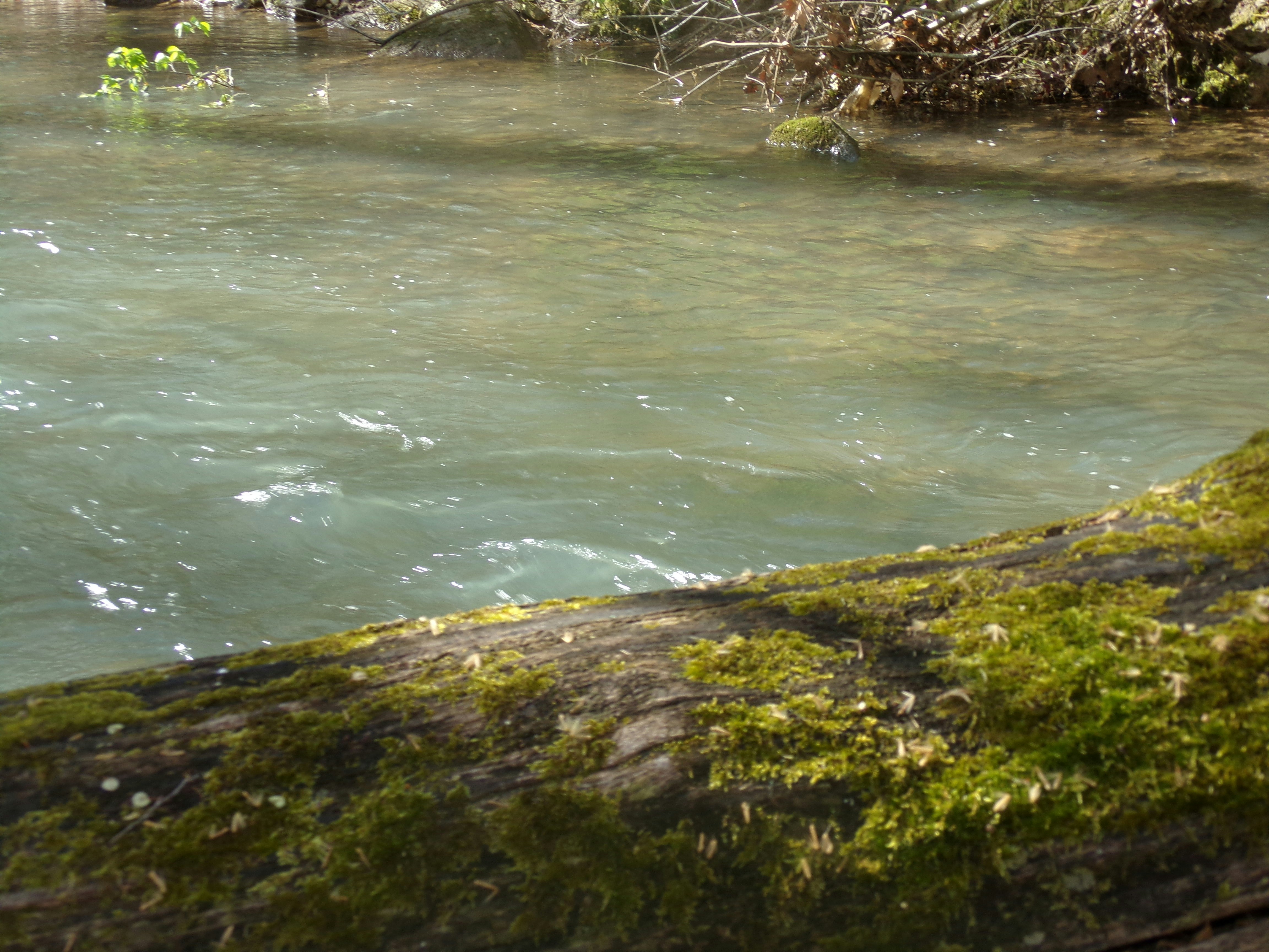 Free Unsplash photo from Susanna Mitchell