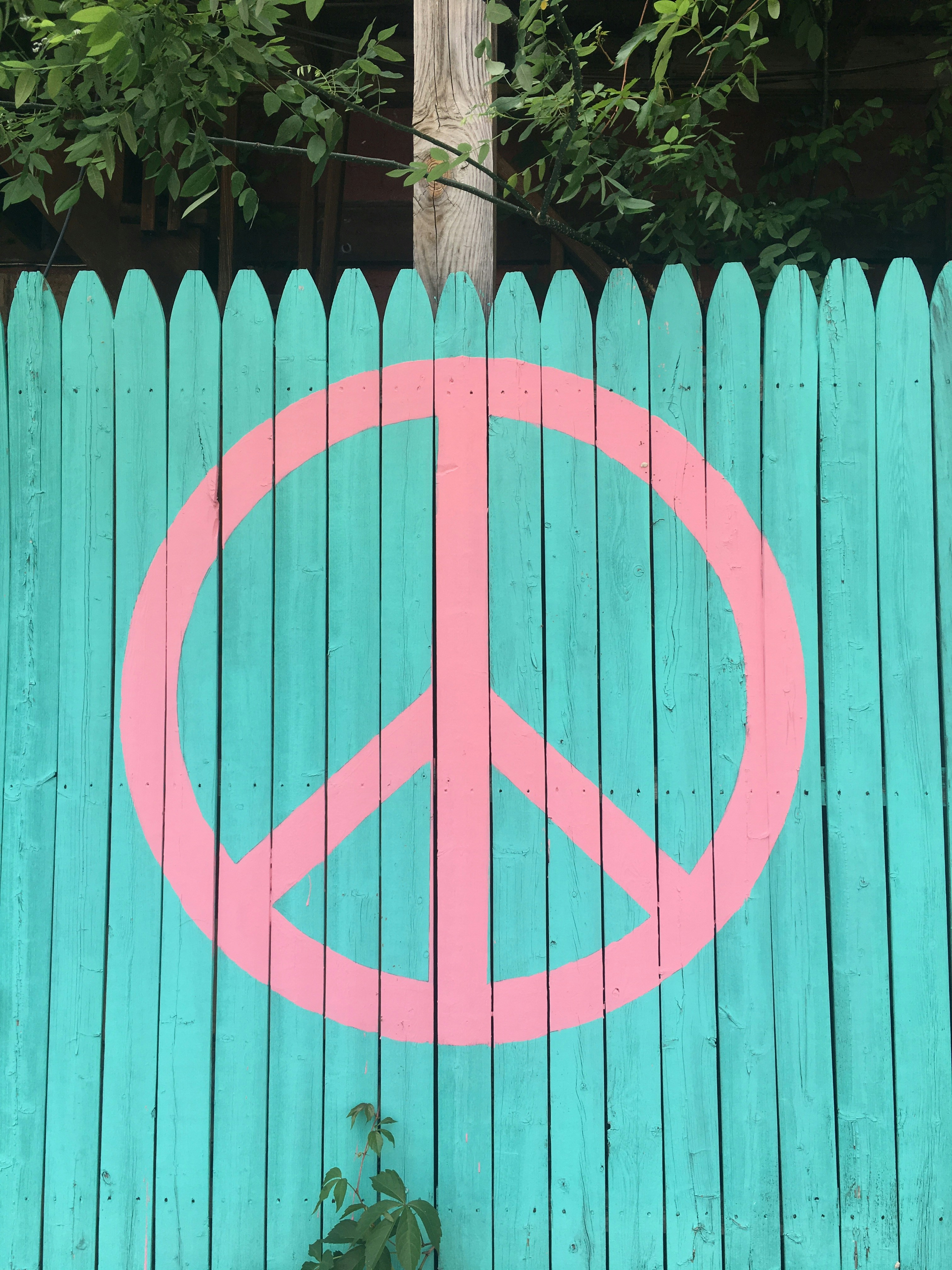 Free Unsplash photo from kate rowe