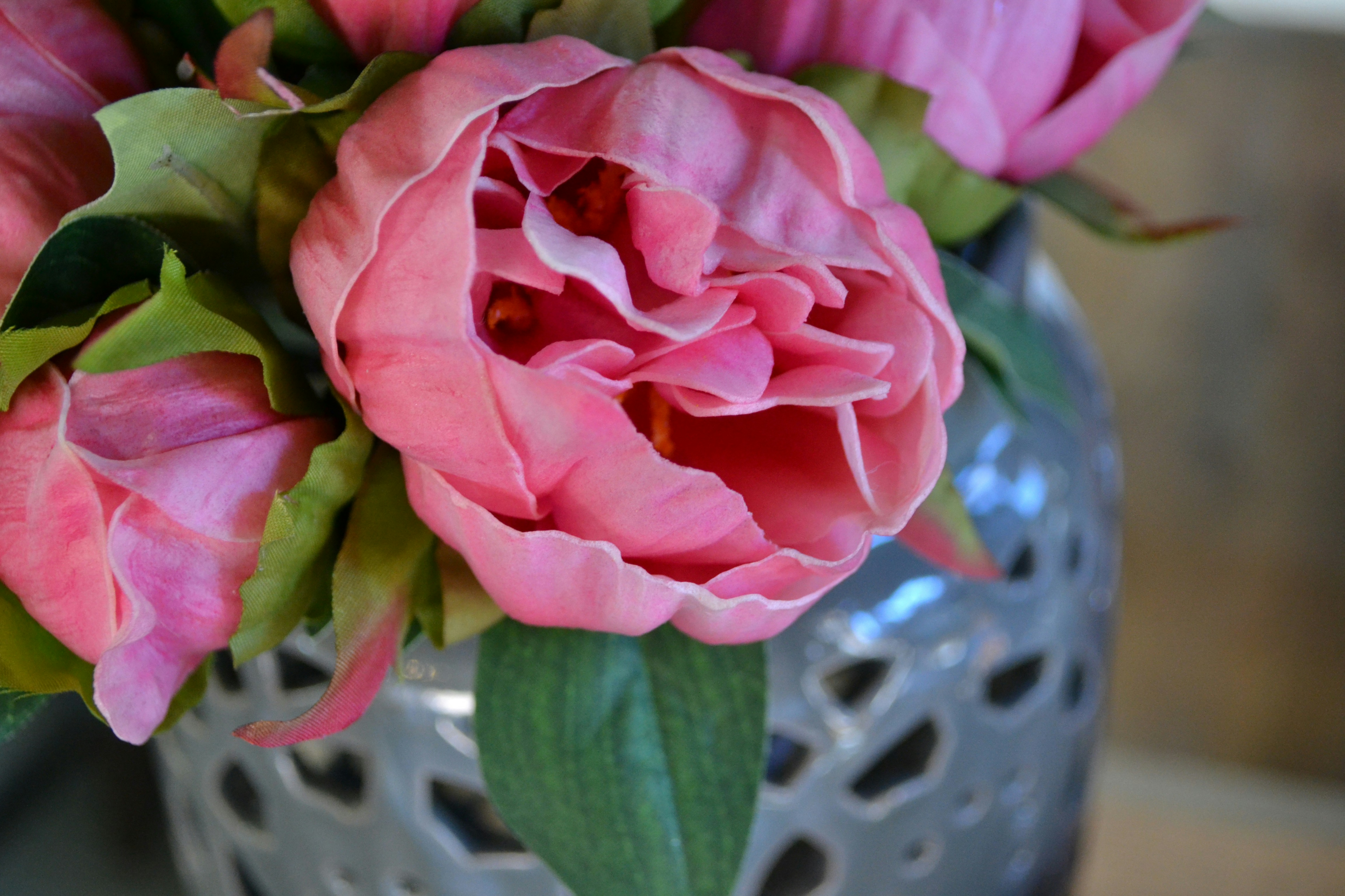 Free Unsplash photo from kate rowe