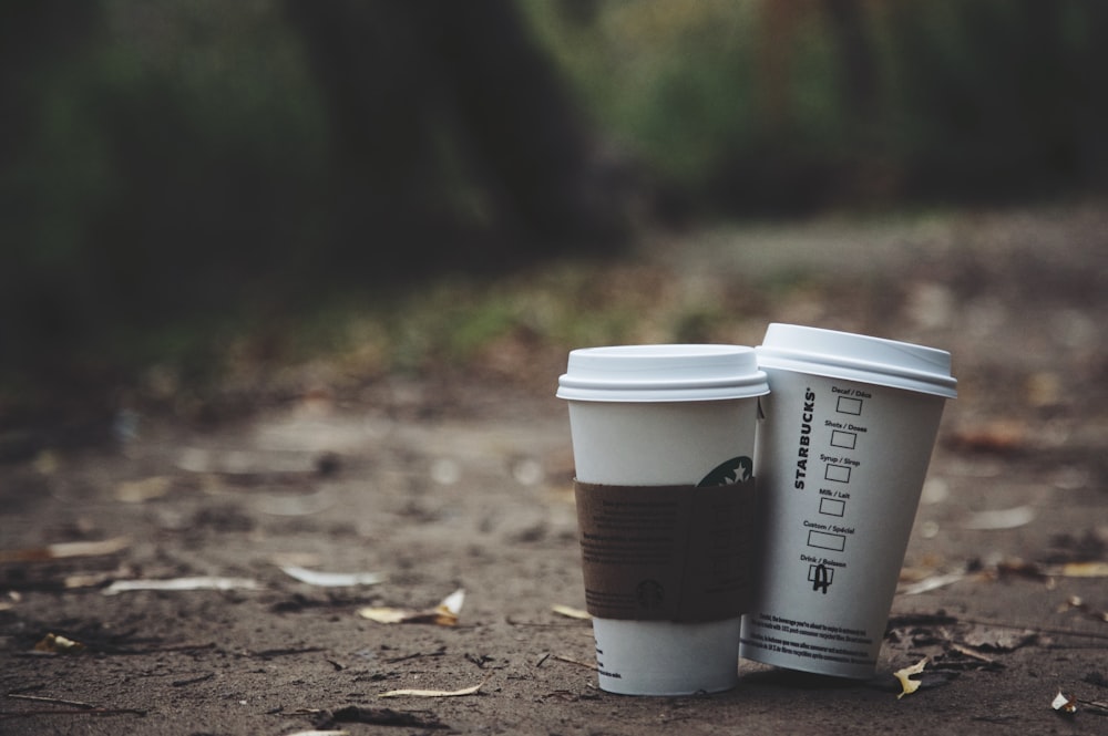 two white disposable cups place on brown soil