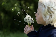 A candid portrait of a child blowing dandelion seeds in a sunlit meadow.