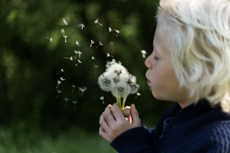 A candid portrait of a child blowing dandelion seeds in a sunlit meadow.