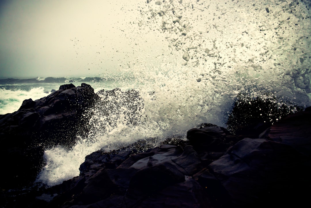 Shore photo spot Cambria Pismo Beach