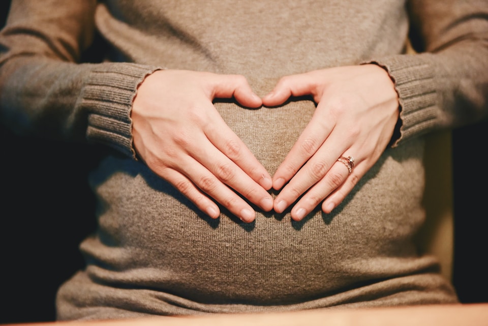 Pregnancy Education Guidance