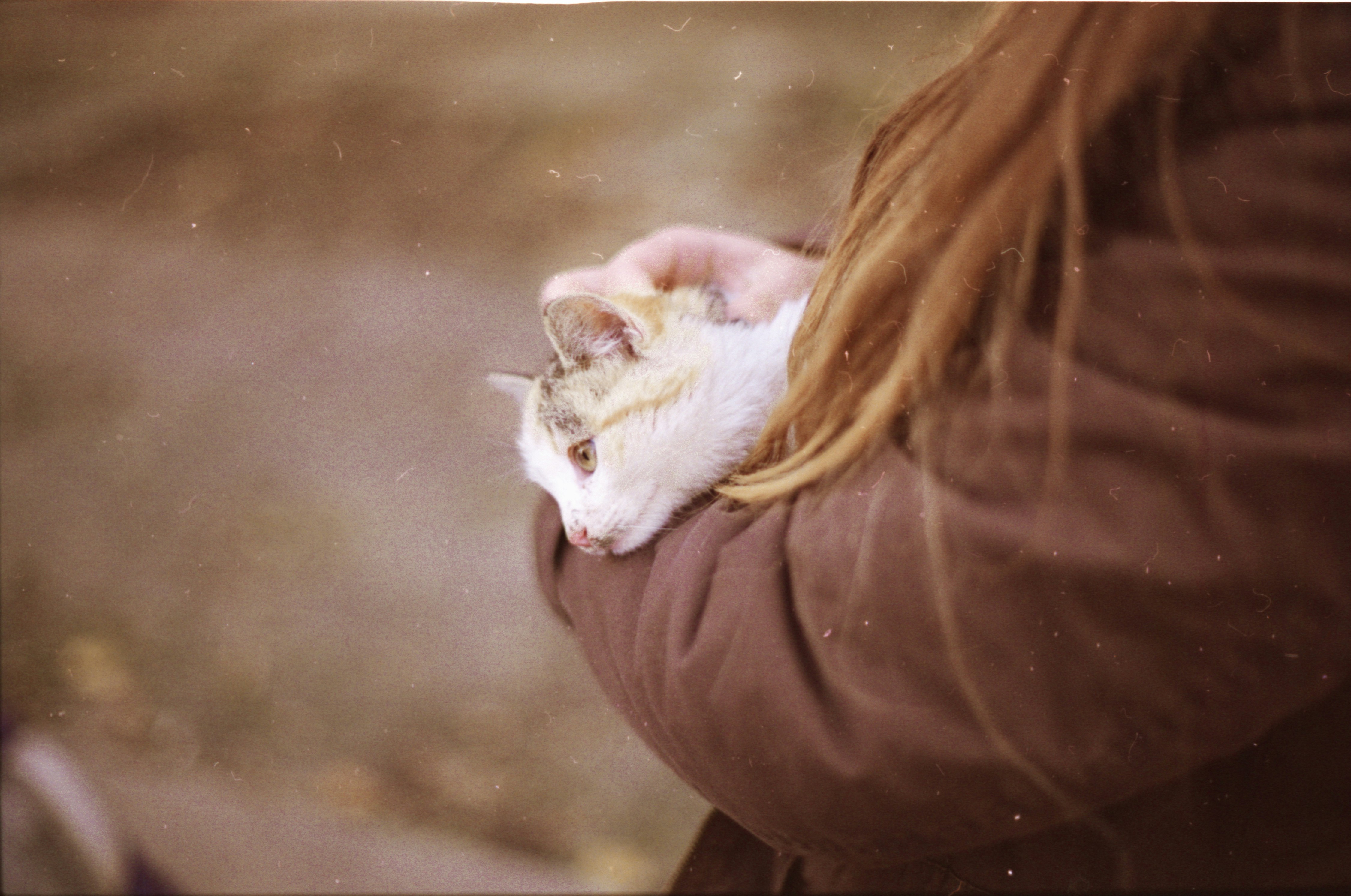 Free Unsplash photo from George Bonev