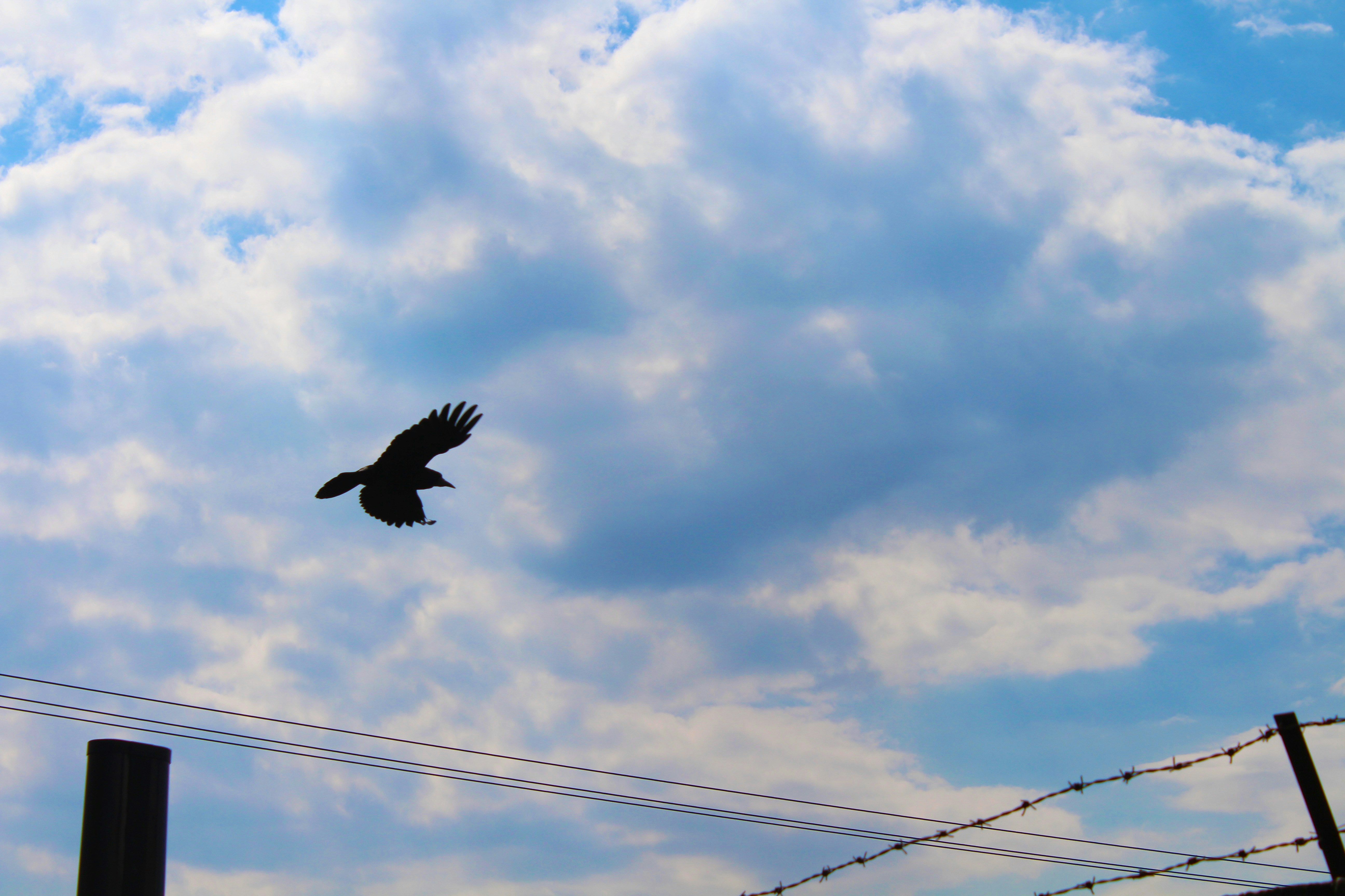 Free Unsplash photo from Lucia Lajdova