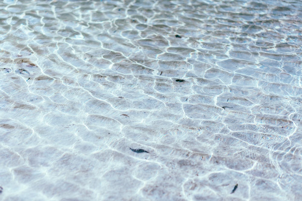 ripples on water surface