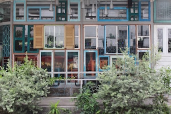 A facade of a building made up of various mismatched windows and doors in multiple colors and styles. There are plants and shrubs in front, adding greenery to the scene. The reflections in the windows and the rustic appearance of the frames create a unique and artistic look.