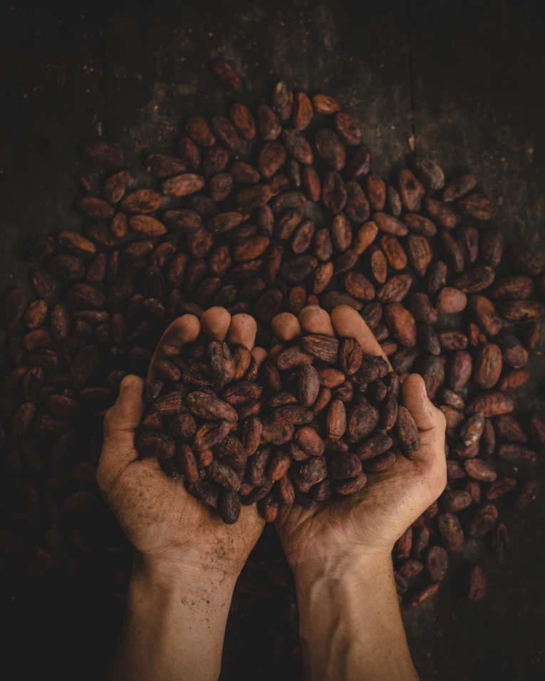 Cocoa & Food Derivatives