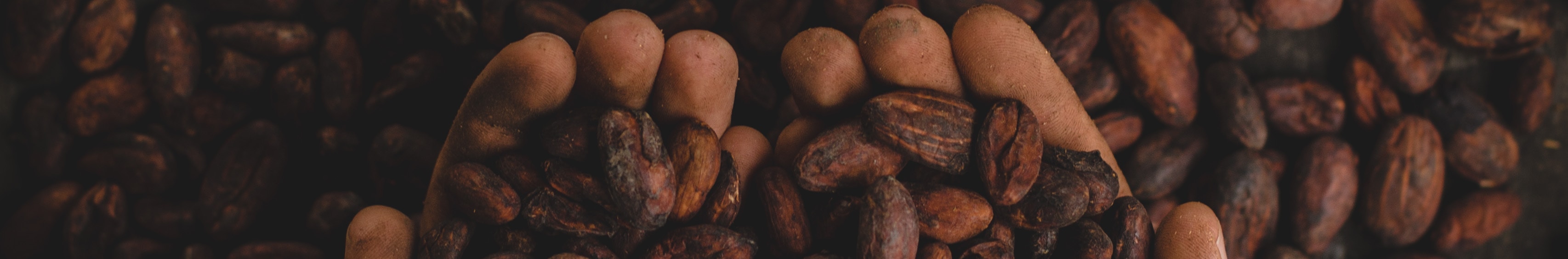 Barry Callebaut supported 214,124 cocoa farmers from its supply chain in 2021-2022