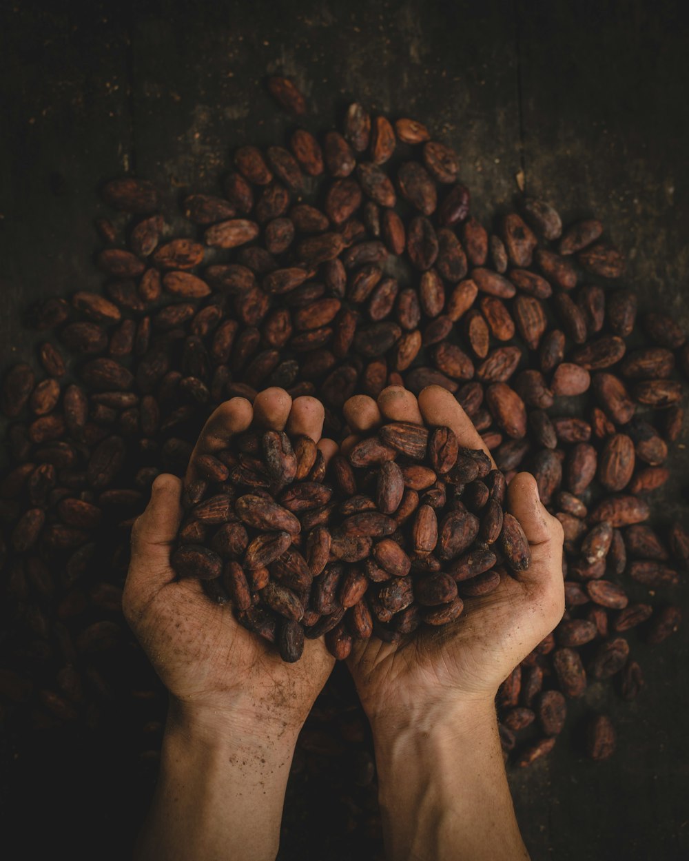 person holding dried beans