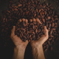 高雄推薦咖啡廳 - 嚴選咖啡豆