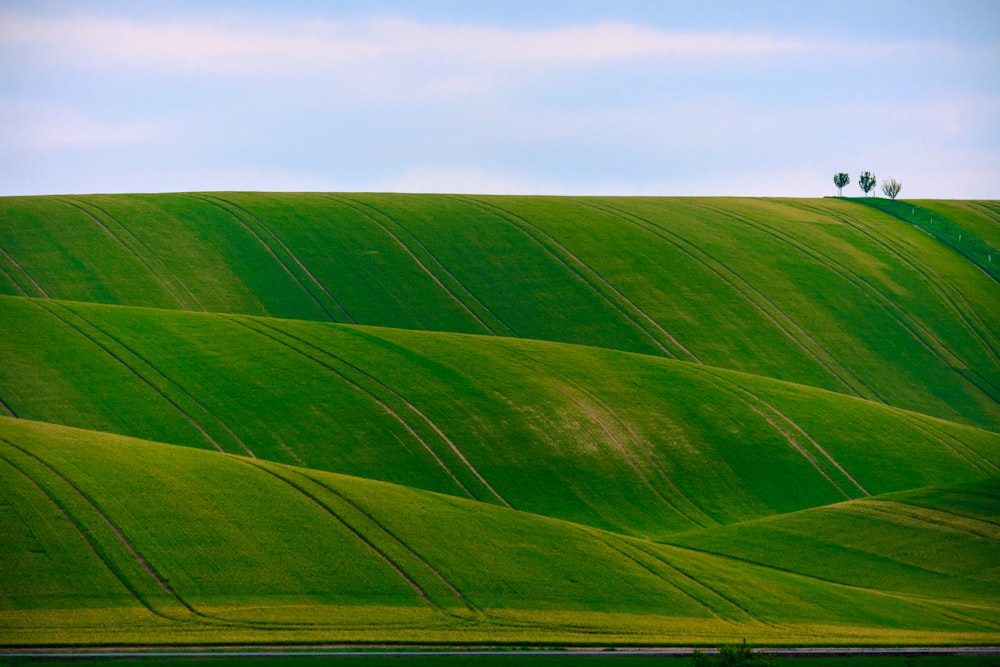 panorama photography of green hills