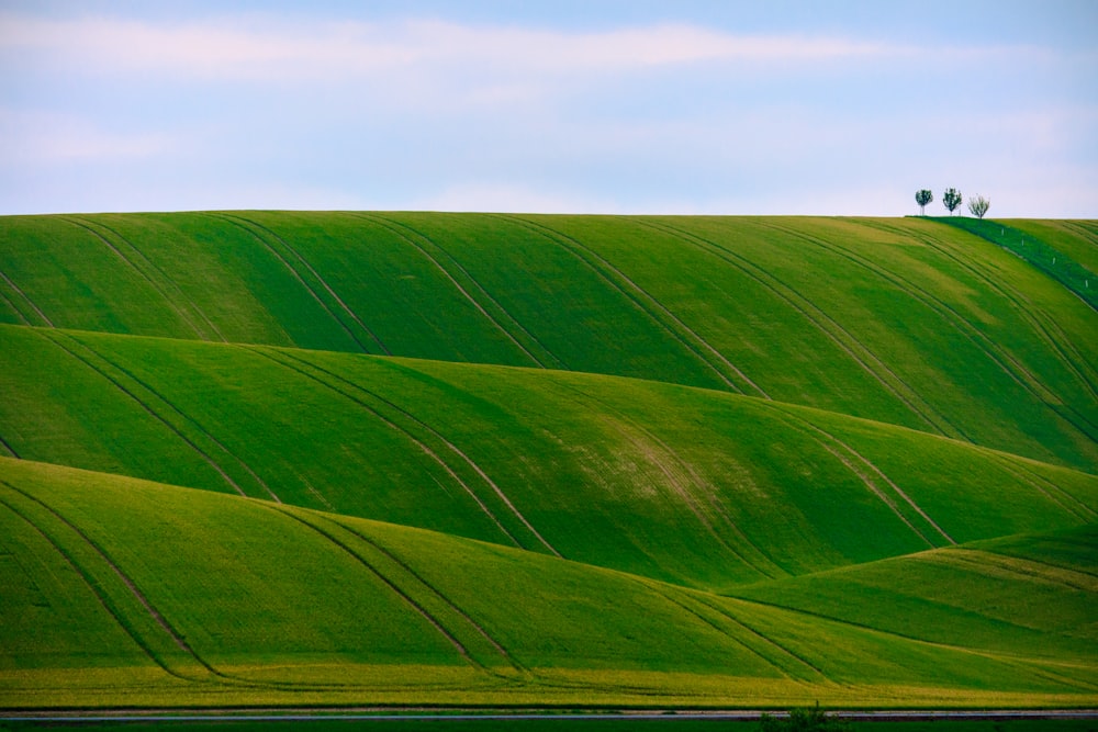 Photographie panoramique de collines verdoyantes