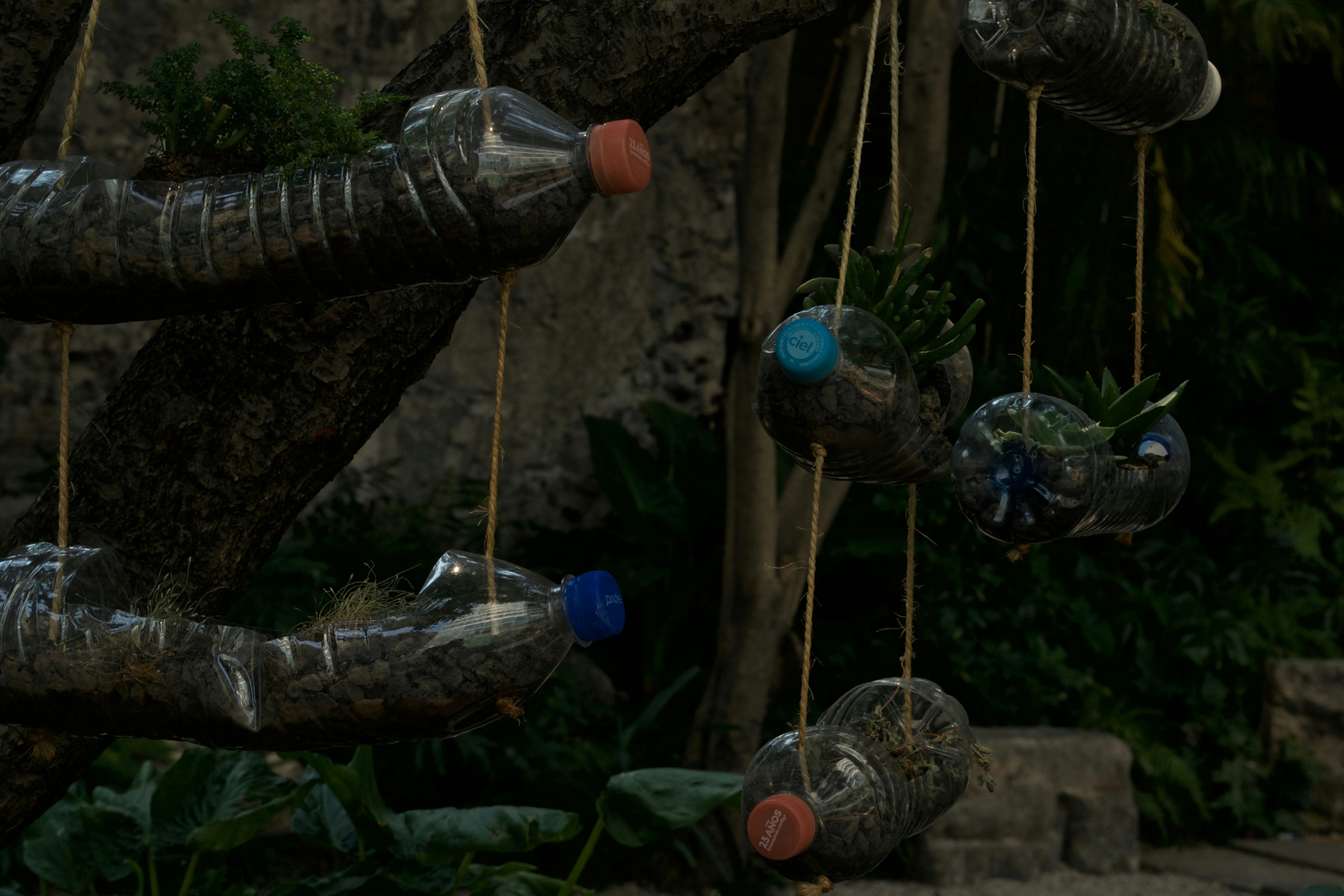 Free Unsplash photo from Jallen Fosati