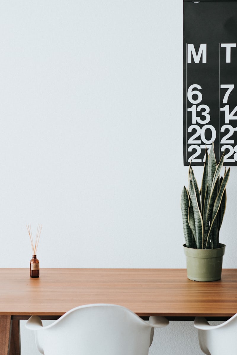 Simple deskw ith a snake plant and a wall calendar