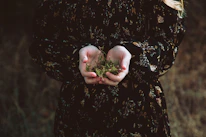 Close-up of hands holding vibrant herbs and natural remedies against a soft, earthy background.