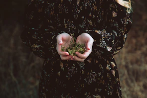 Close-up hands holding fresh green leaves and herbs, symbolizing natural healing and ritual.