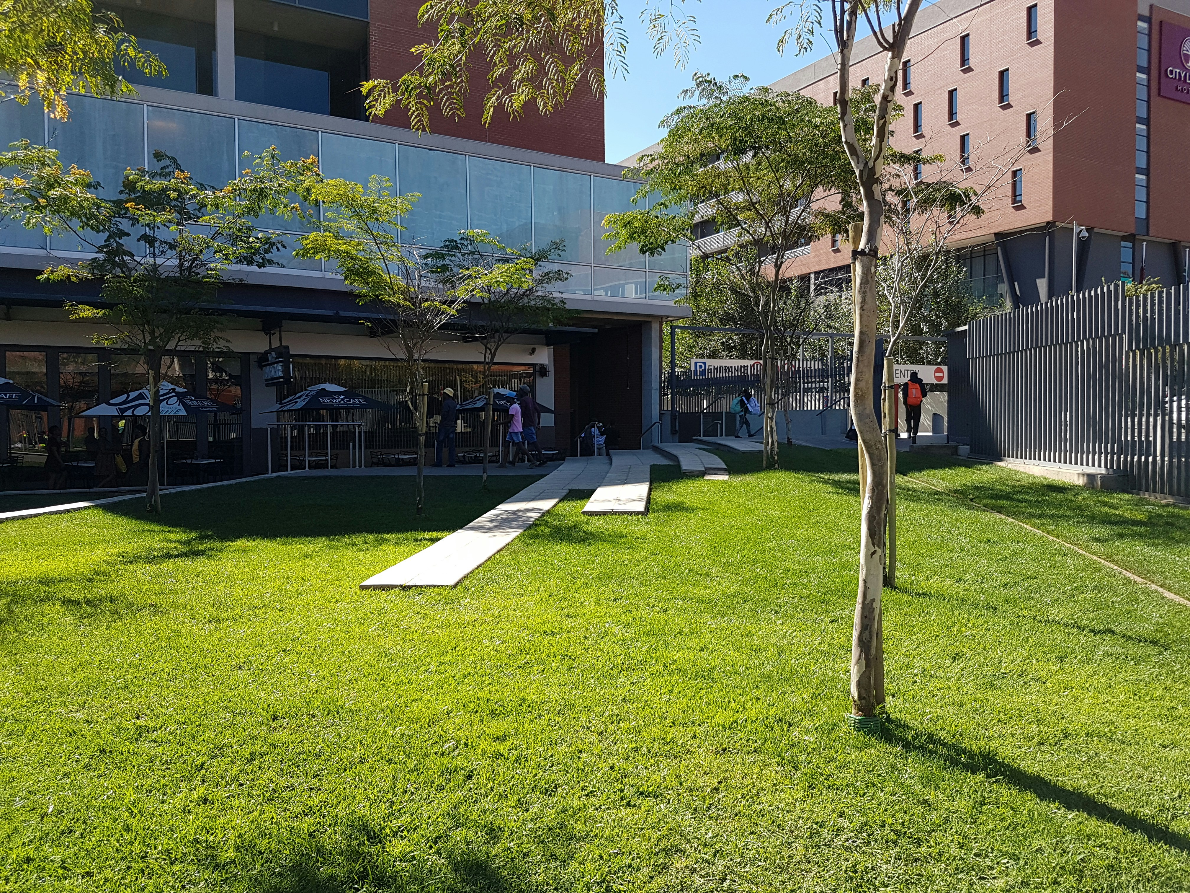 Free Unsplash photo from Marcus  Madumo