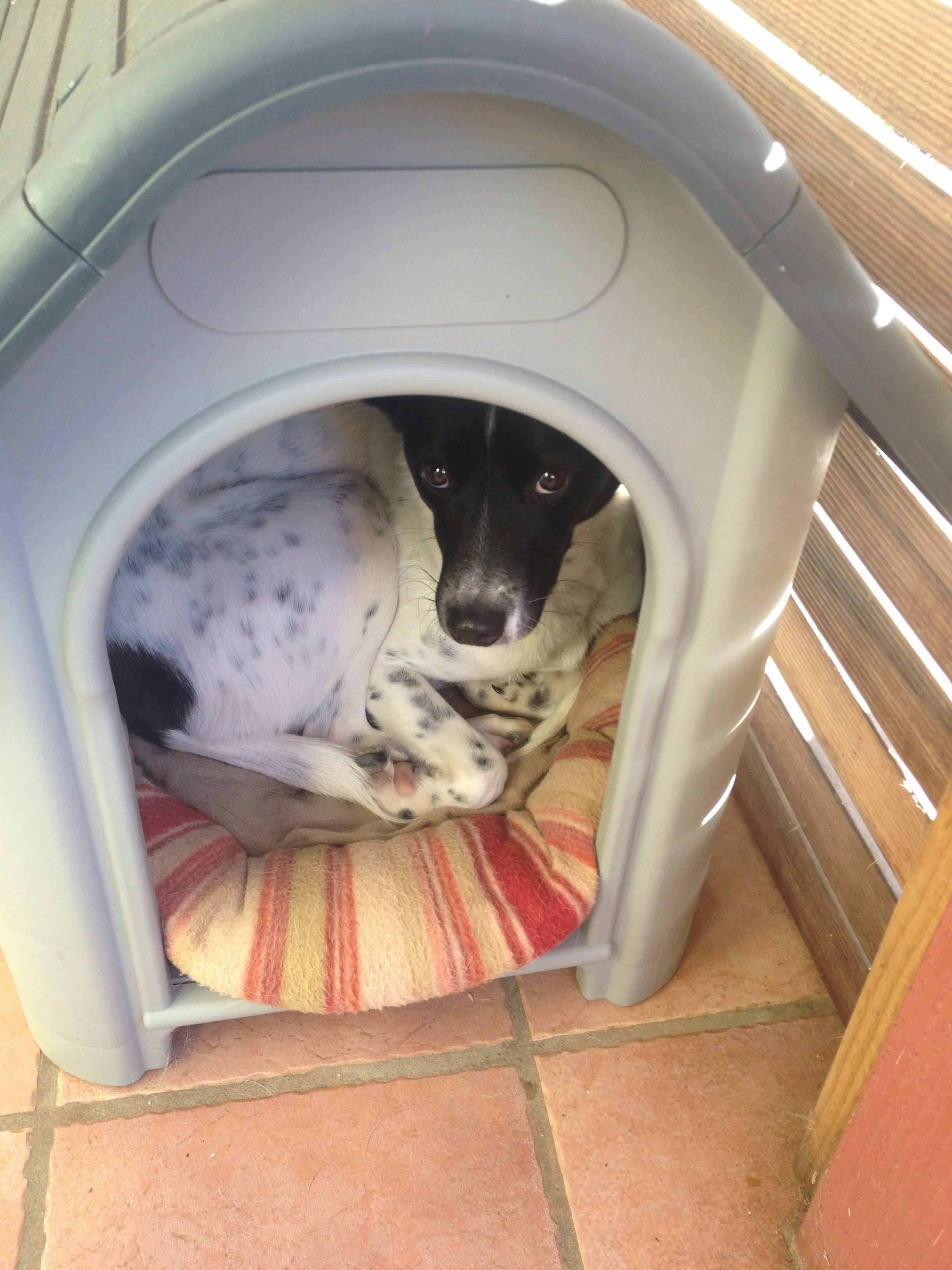 Free Unsplash photo from Elly  Yeung