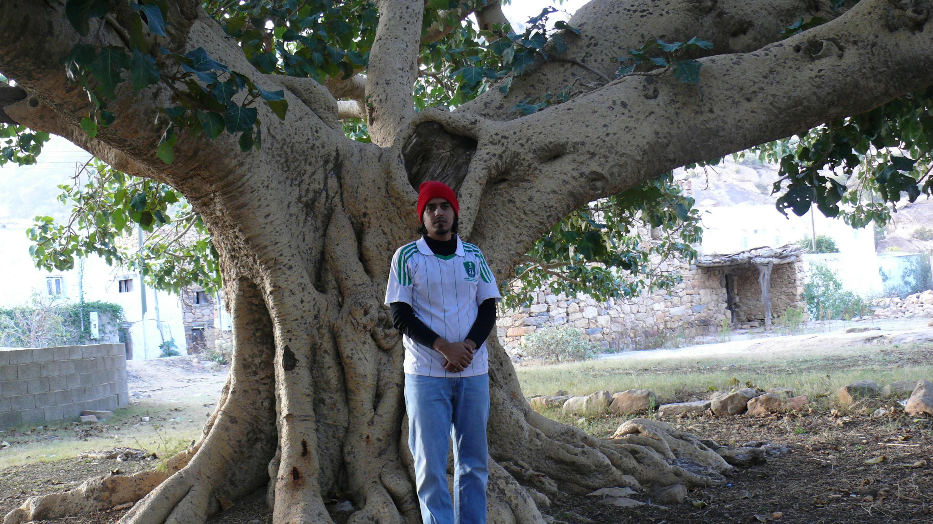 Free Unsplash photo from saad alamri