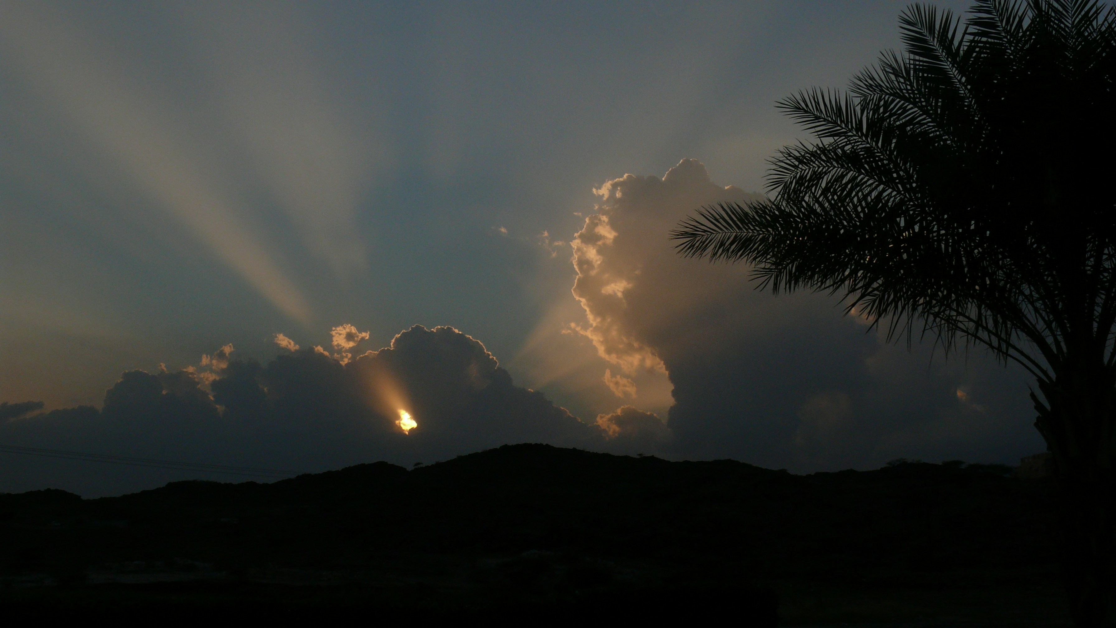 Free Unsplash photo from saad alamri