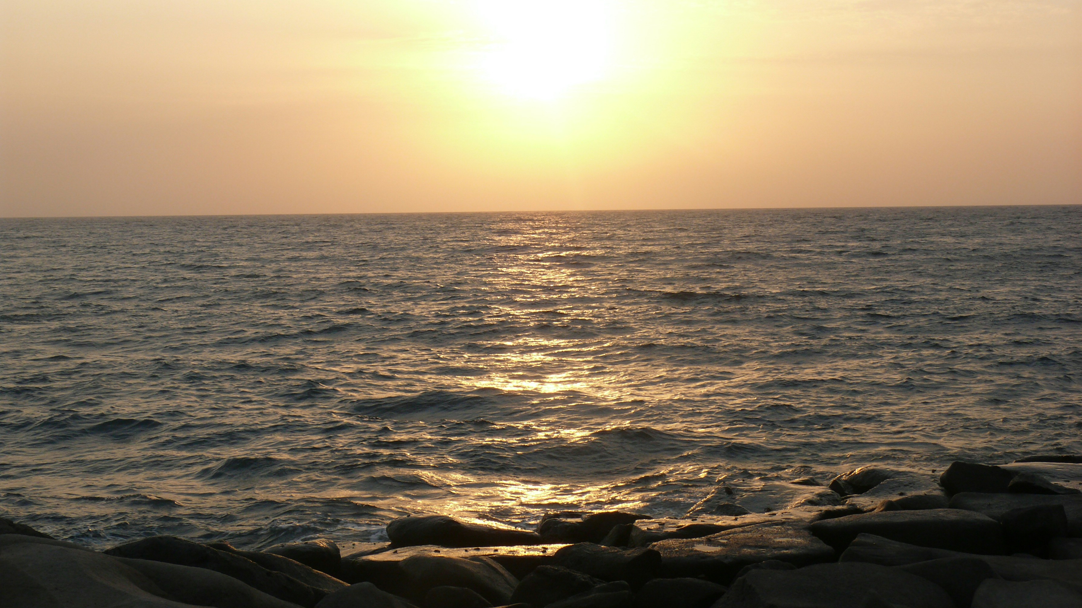 Free Unsplash photo from saad alamri