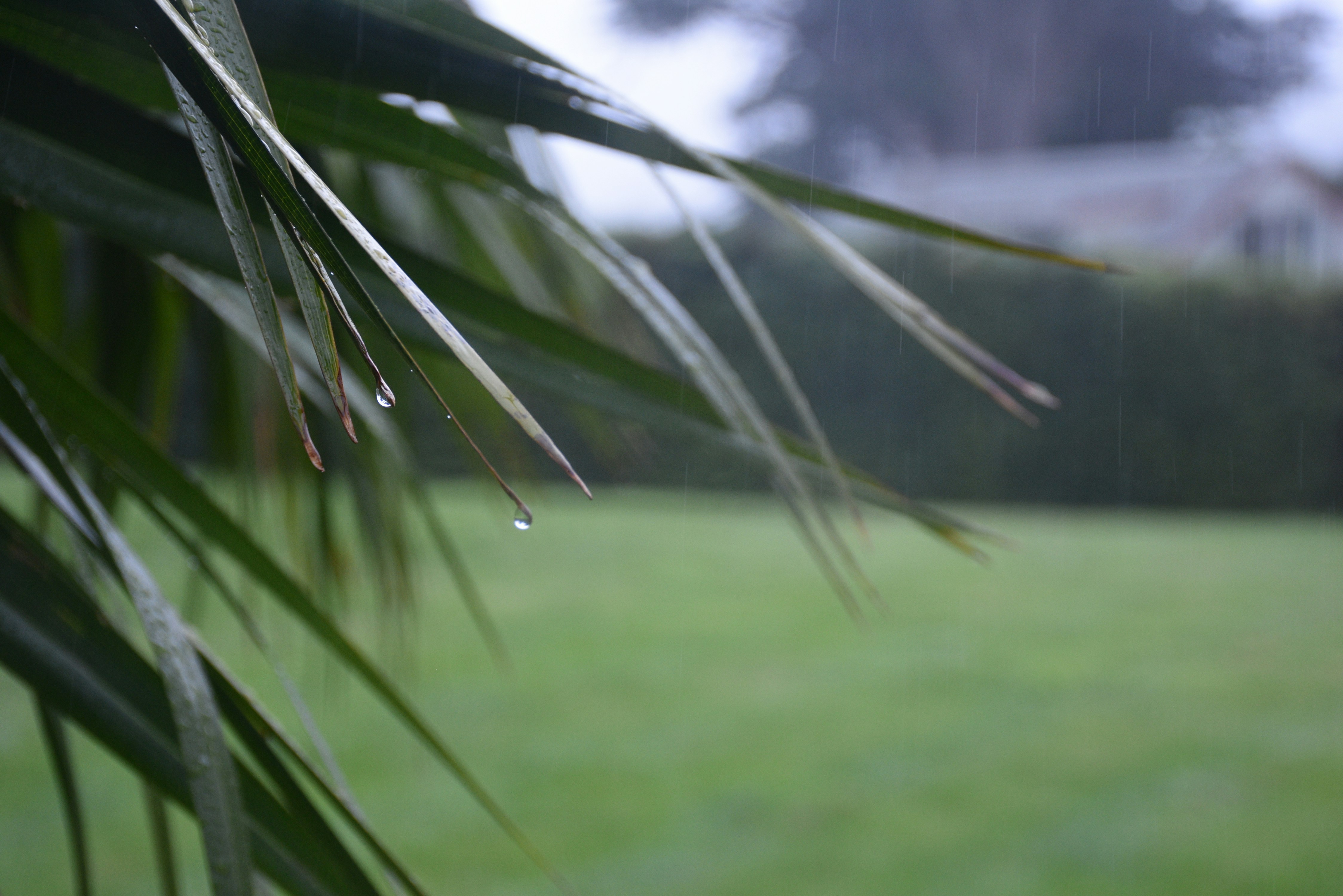 Free Unsplash photo from Chris Hughes