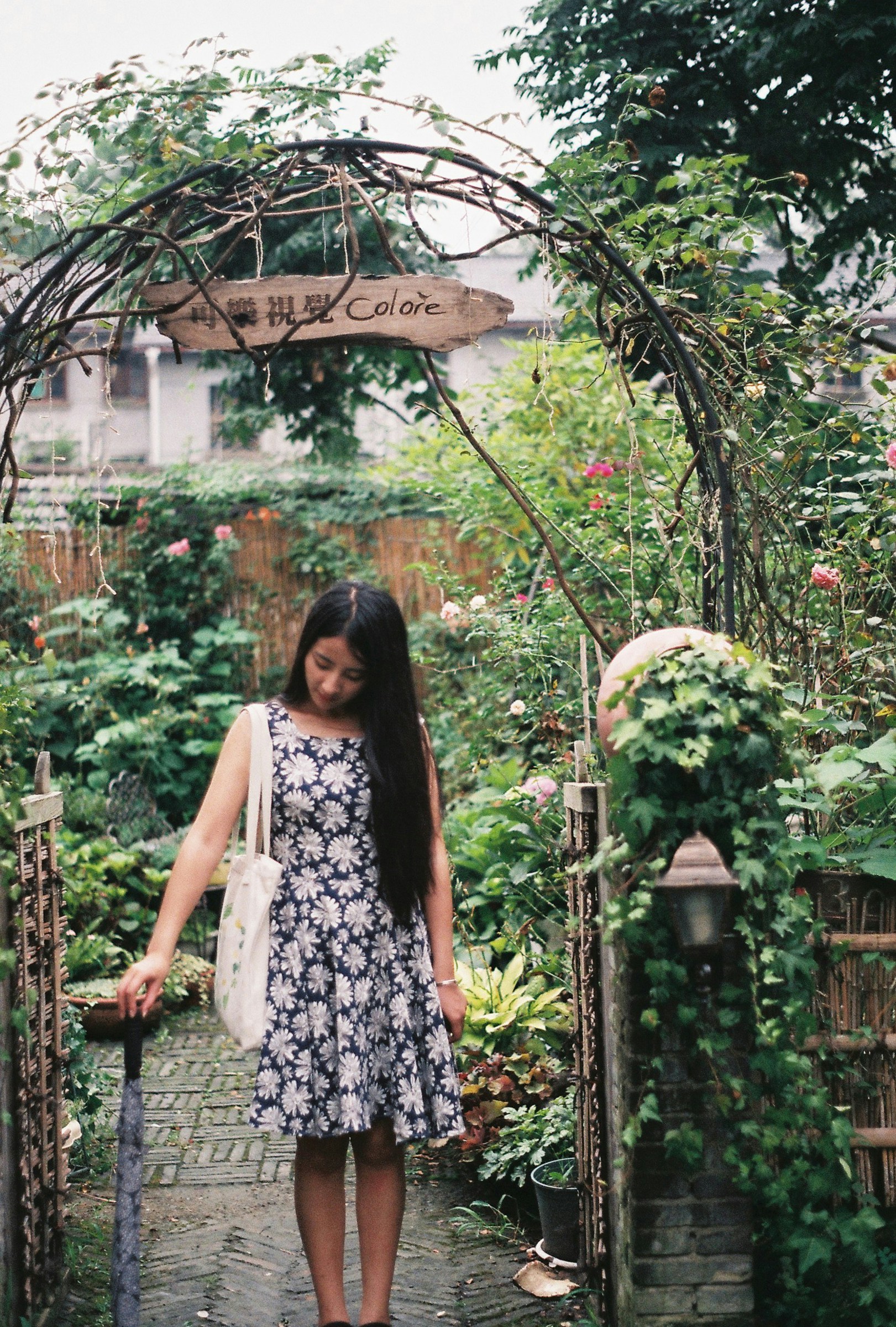 Free Unsplash photo from echo zhang