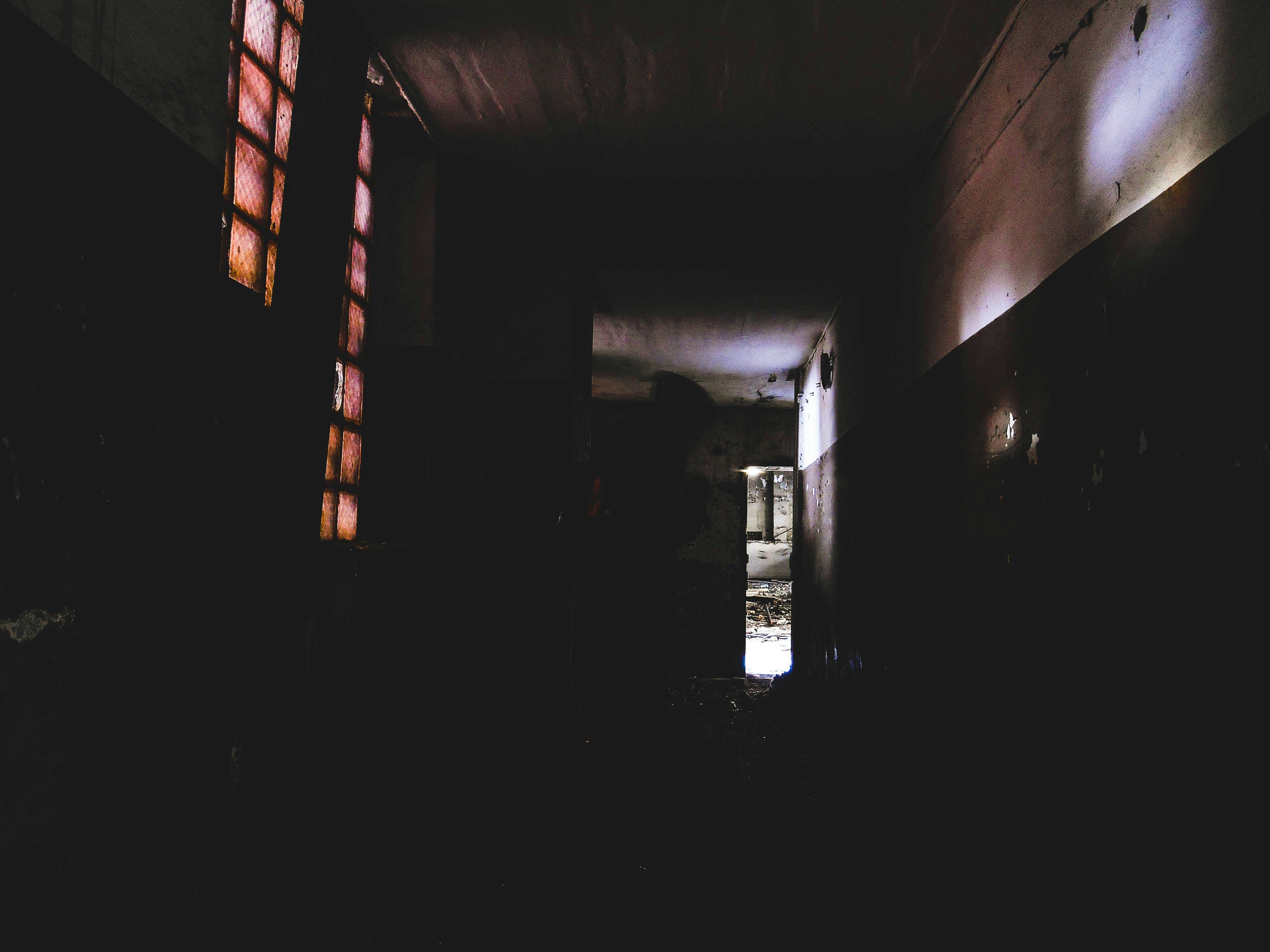 Free Unsplash photo from Artem Kulikov