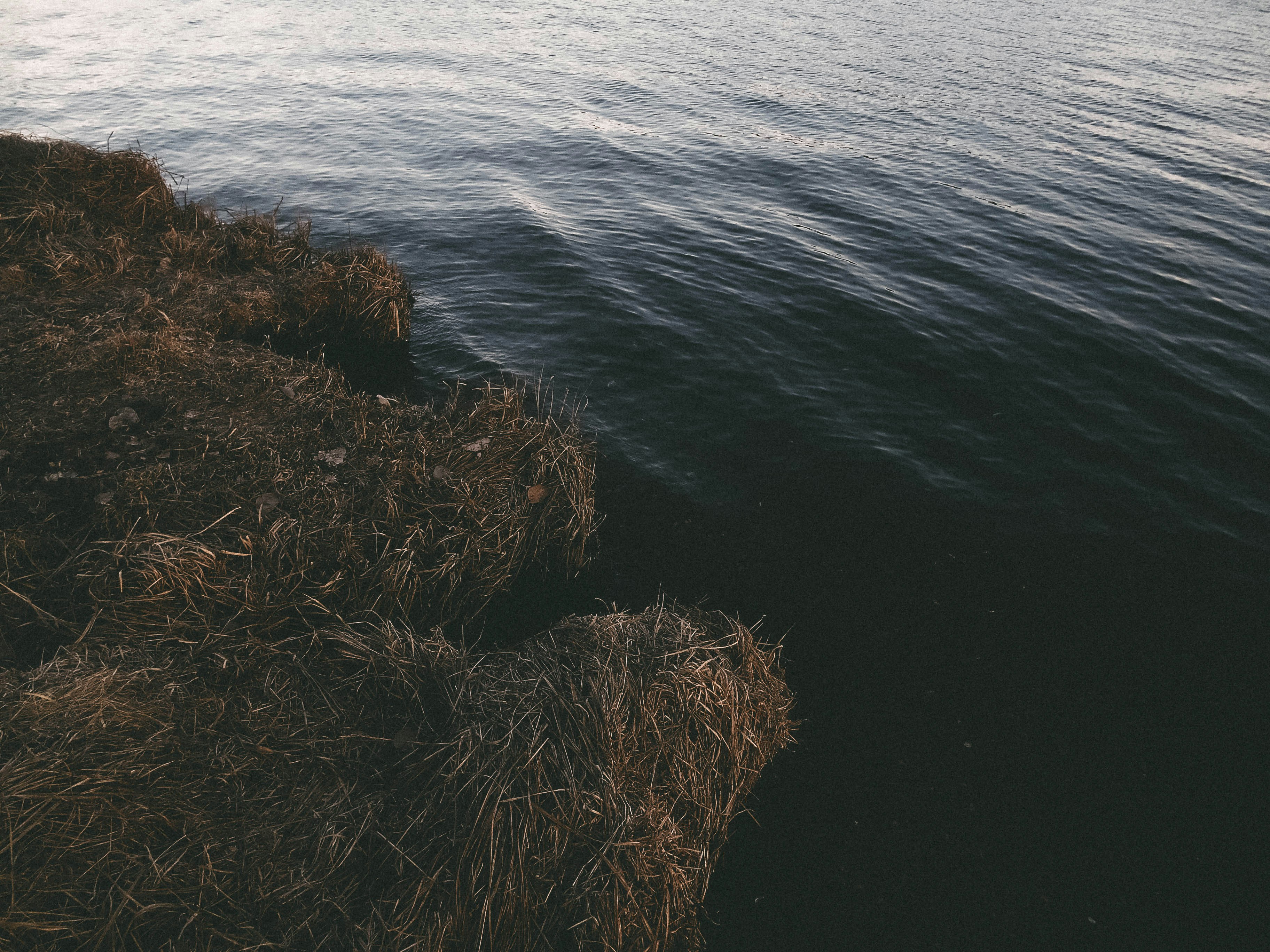 Free Unsplash photo from Artem Kulikov