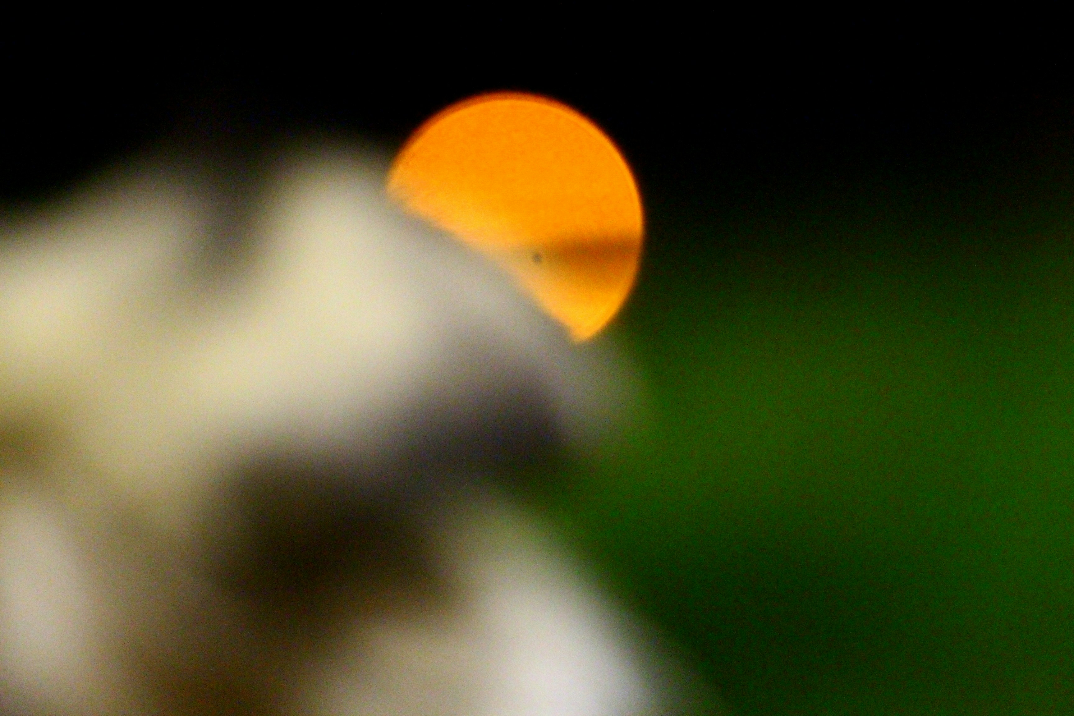 Free Unsplash photo from Back TotheRoots