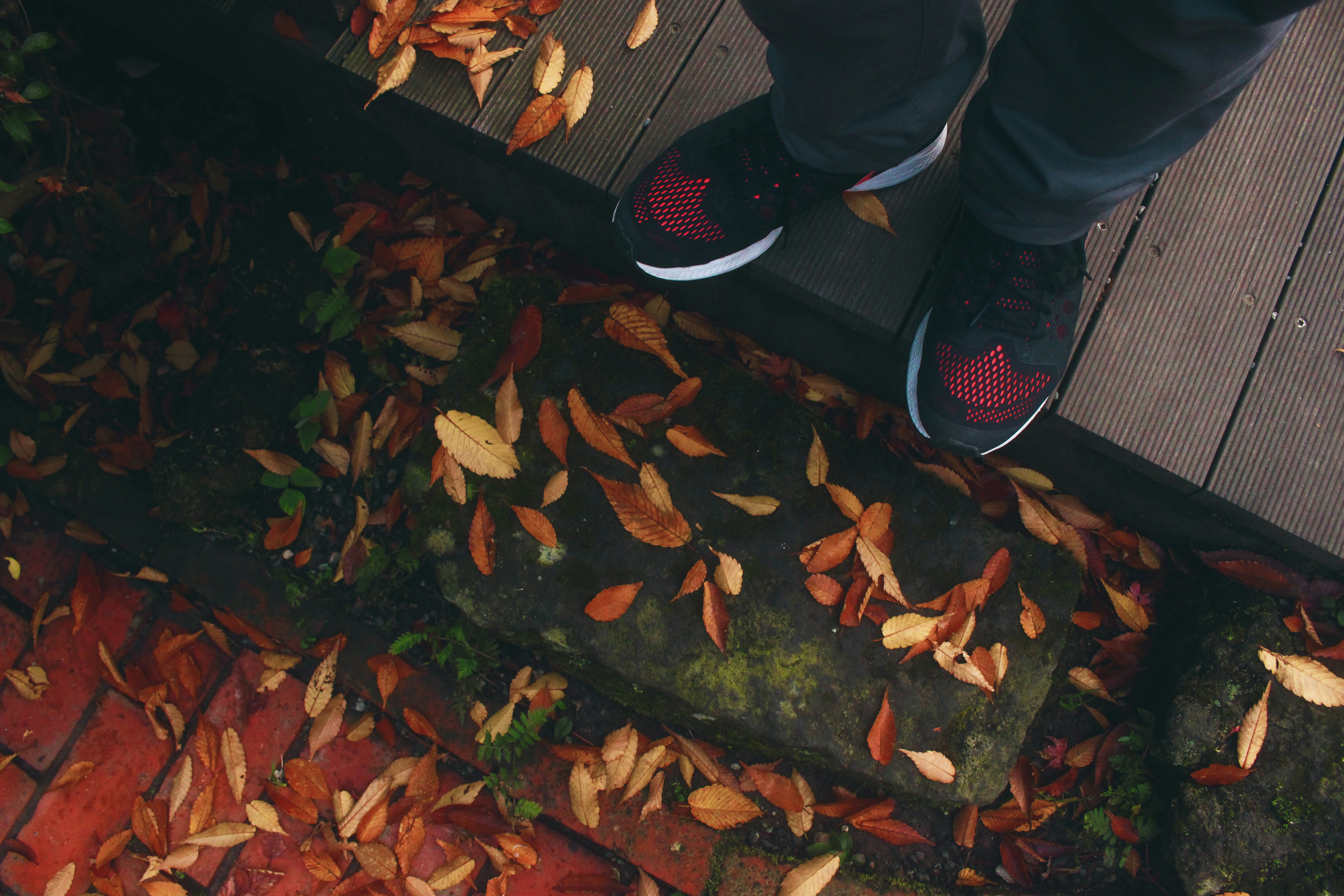 Free Unsplash photo from Ester Marie Doysabas