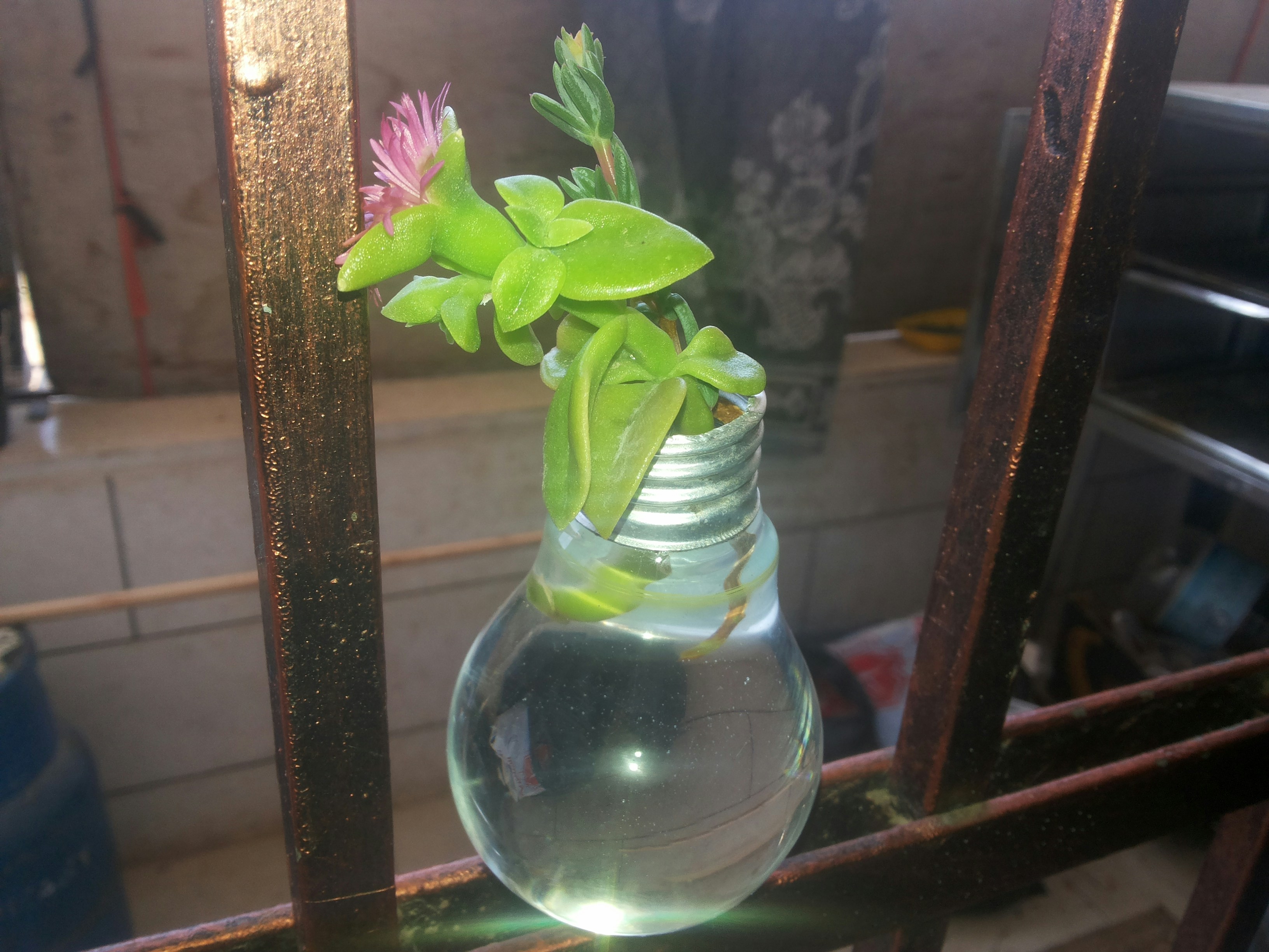 Free Unsplash photo from samer natsheh