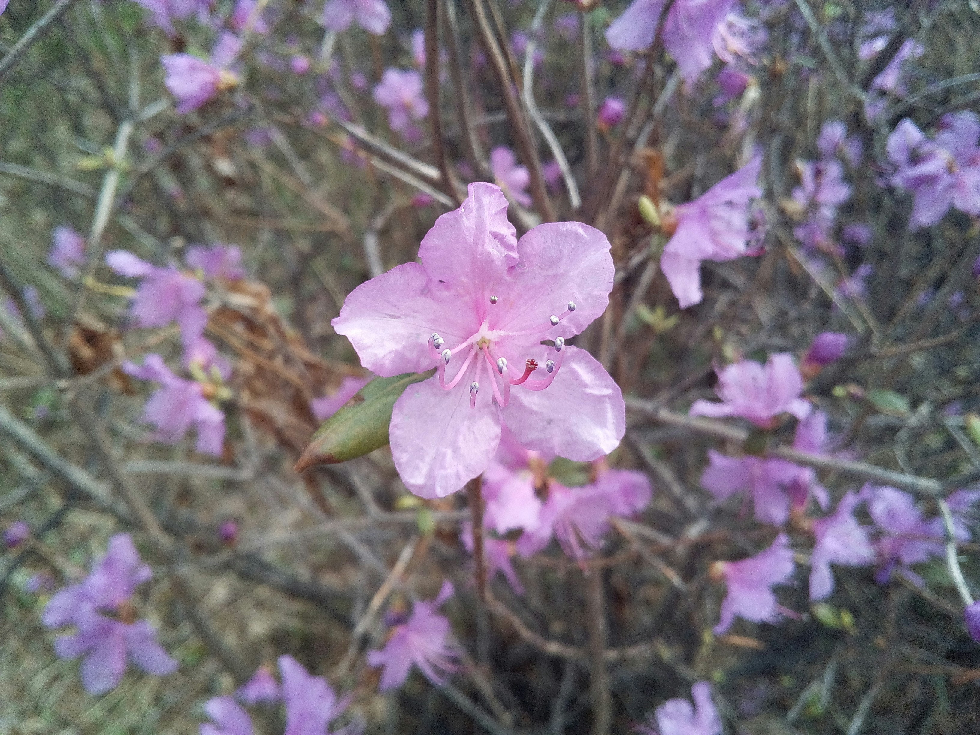 Free Unsplash photo from Alex Walker