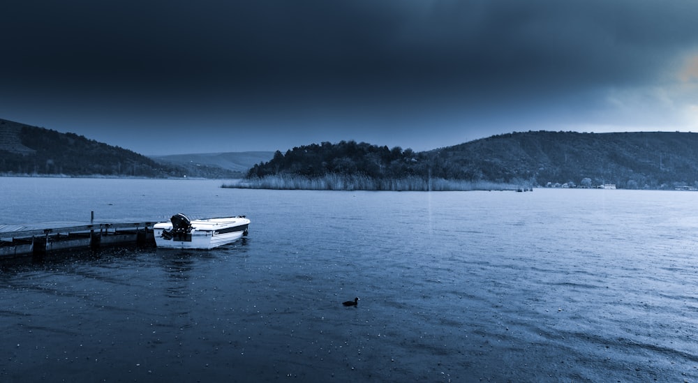 white speedboat