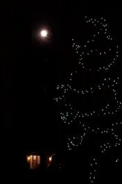 A cozy tree house illuminated by moonlight with a silhouette of a dog nearby.