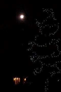 A cozy tree house illuminated by moonlight with a silhouette of a dog nearby.