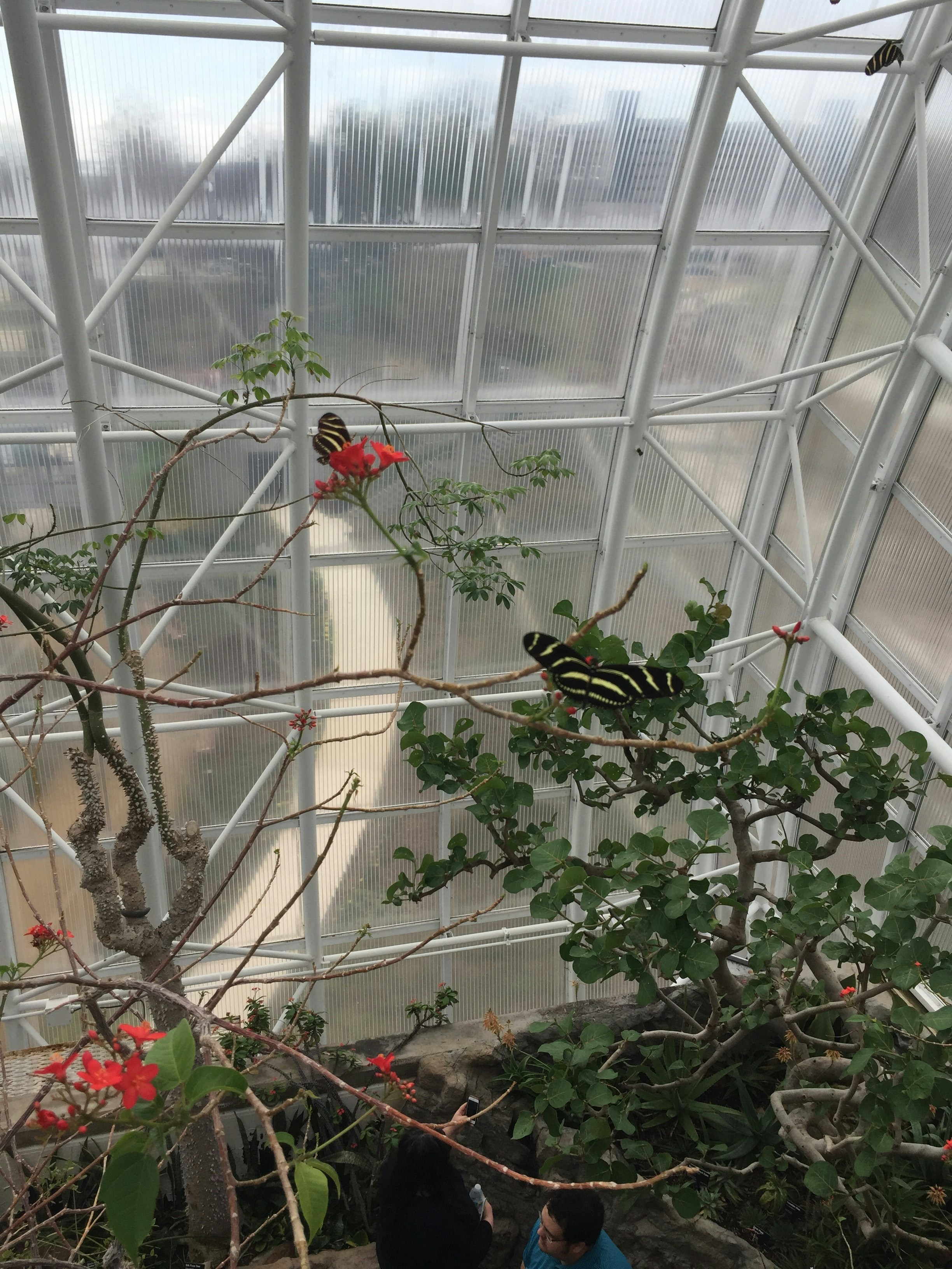 Free Unsplash photo from Michal Lusk