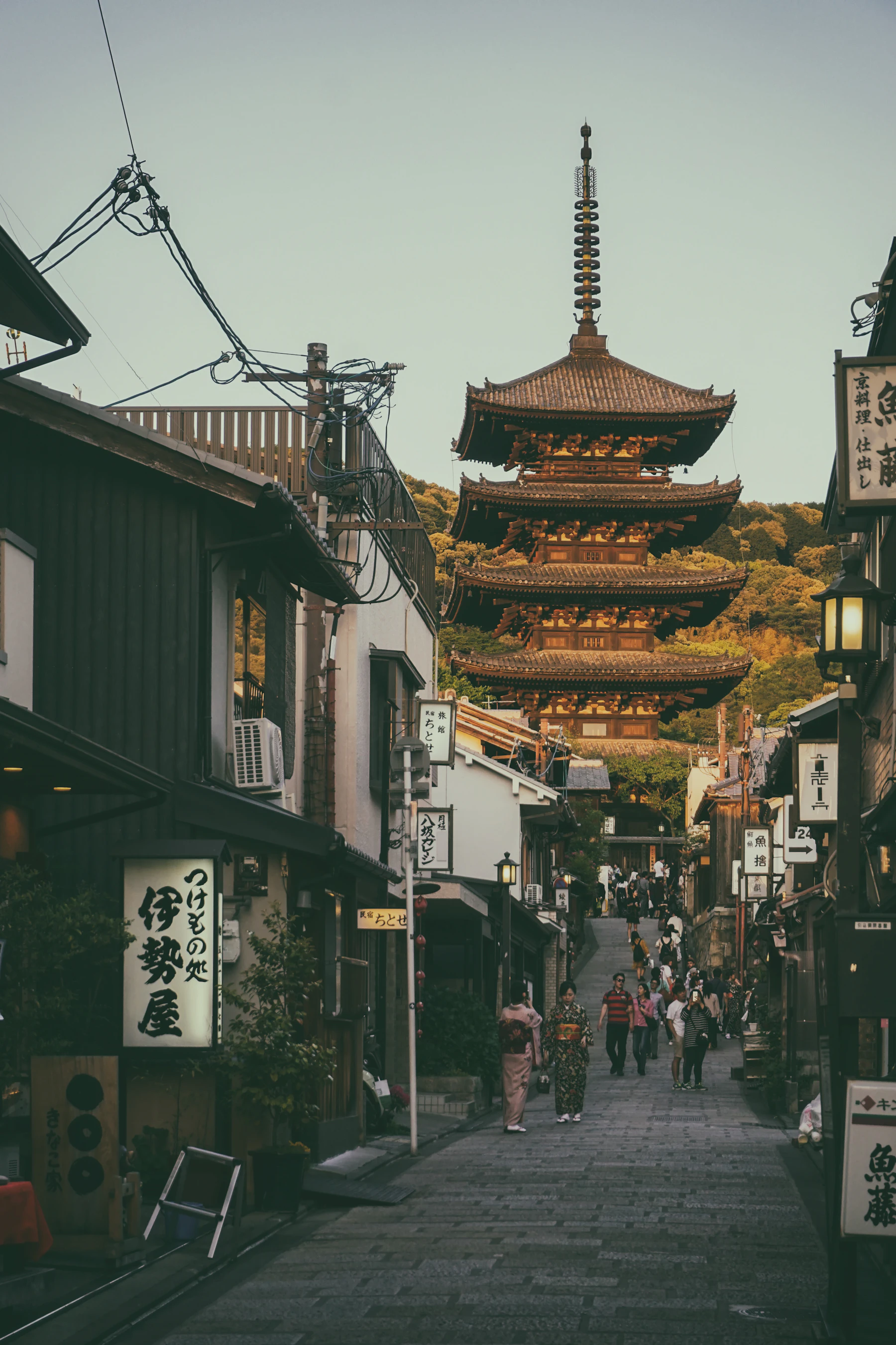Asia Bundle
