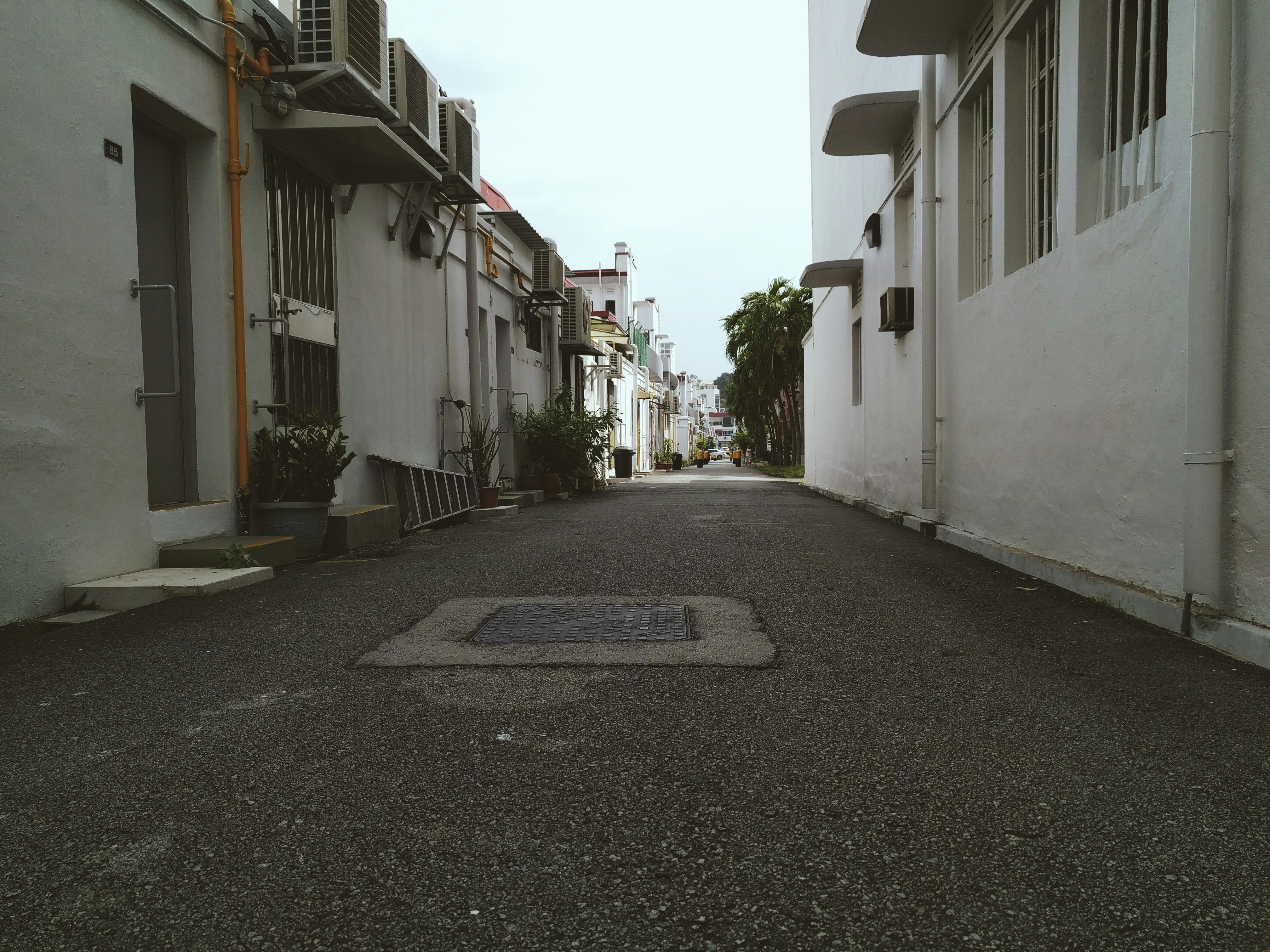 Free Unsplash photo from Vuitton Lim