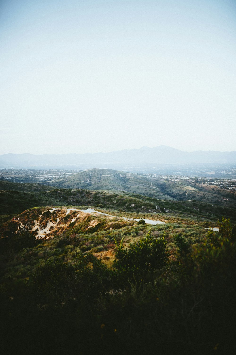 green trees on mountain during daytime