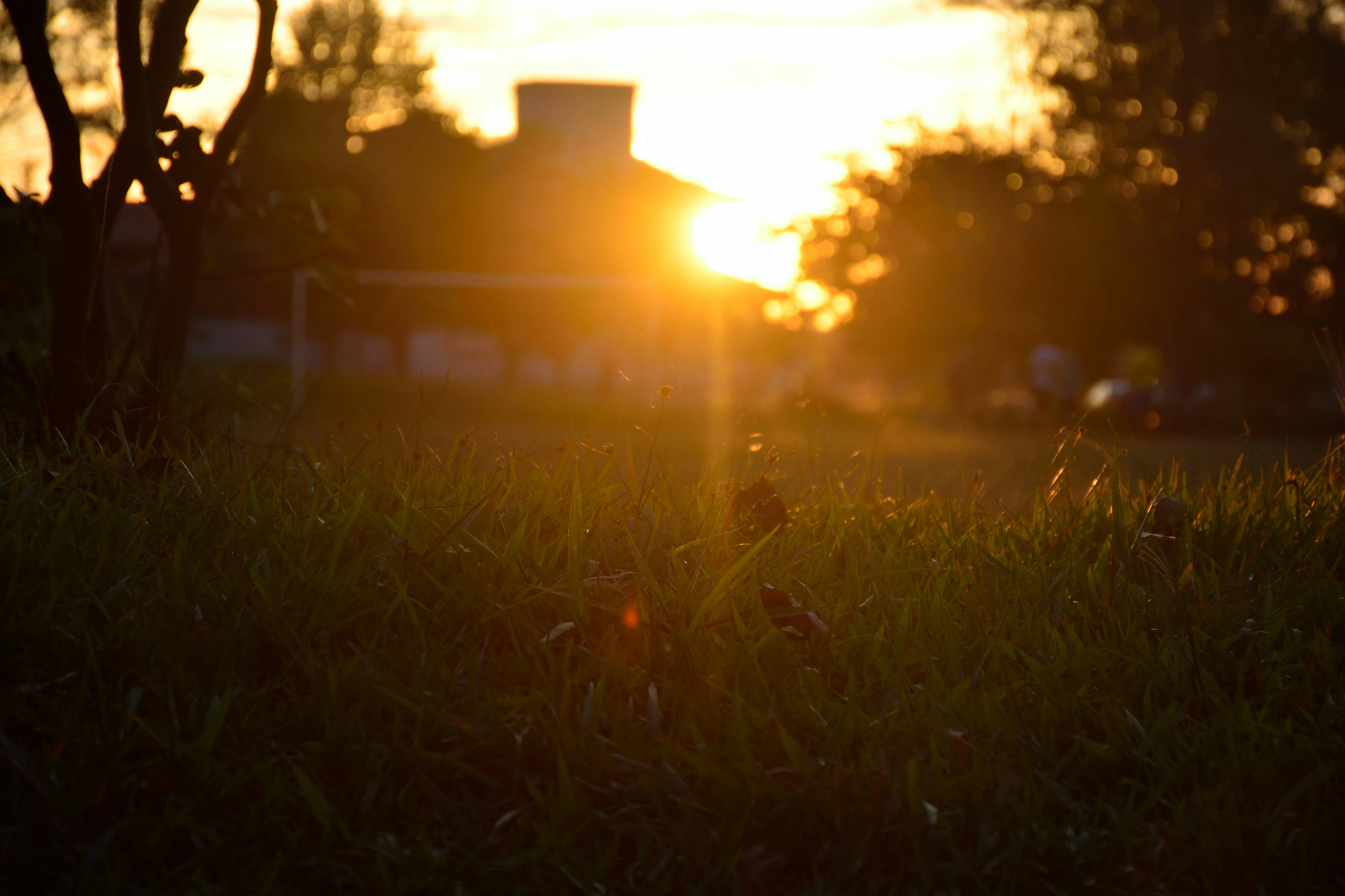 Free Unsplash photo from Gustavo Tedesco