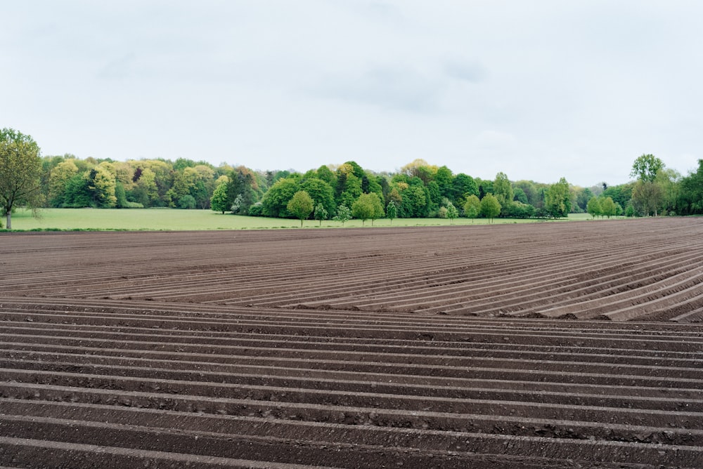 soil and valley