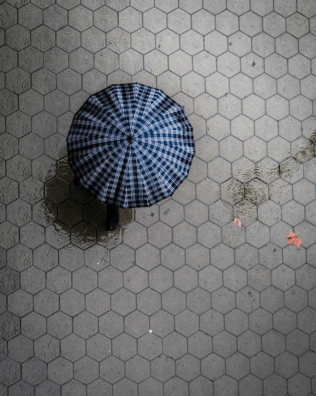 bird's eye view photograph of white and black umbrella on surface