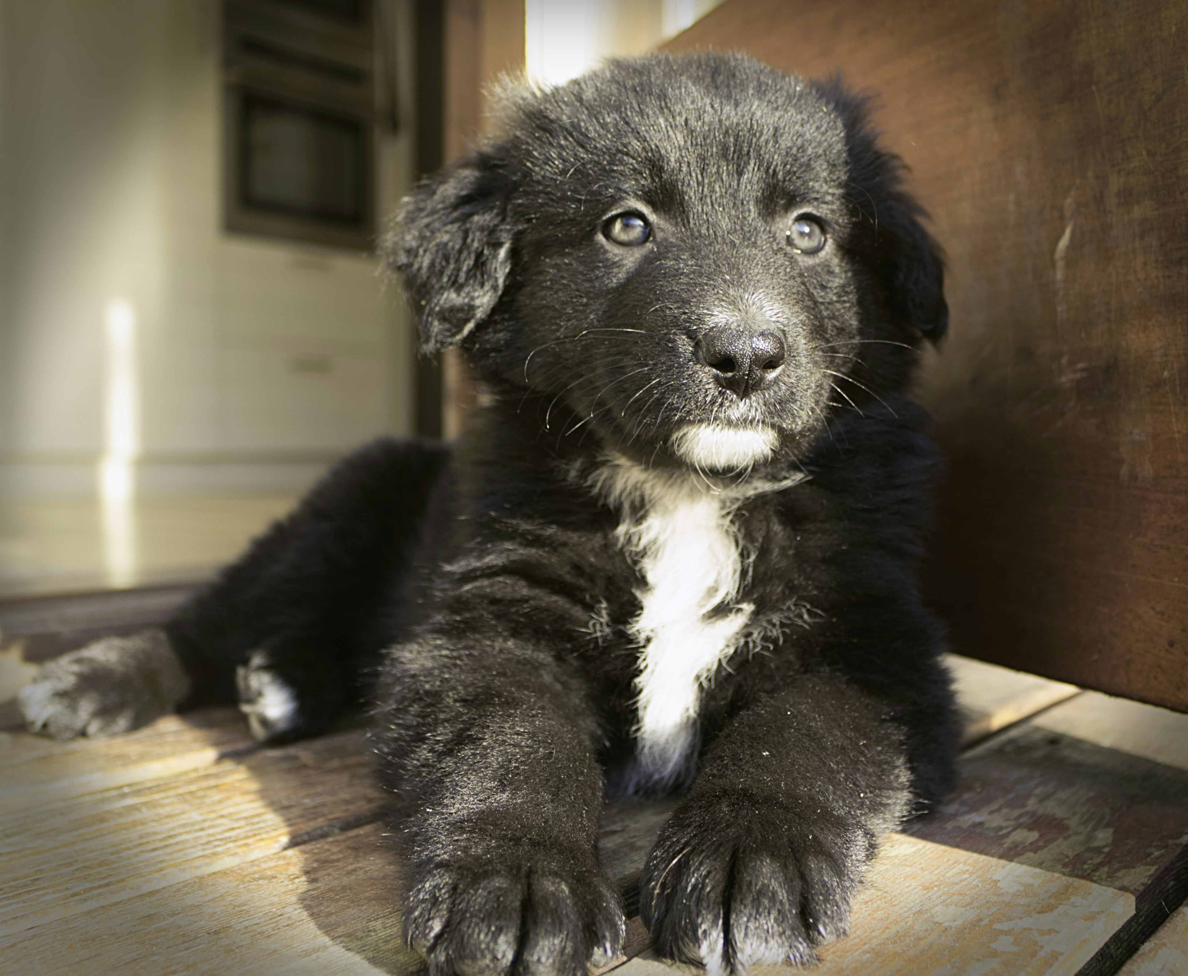 Free Unsplash photo from Trevor Dobbyn